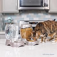 Vista 7 de Petmate Pet Cafe Dispensador de agua por gravedad para gatos y perros, cuenco de agua para gatos y perros, fabricado en Estados Unidos, 0.75 Gris