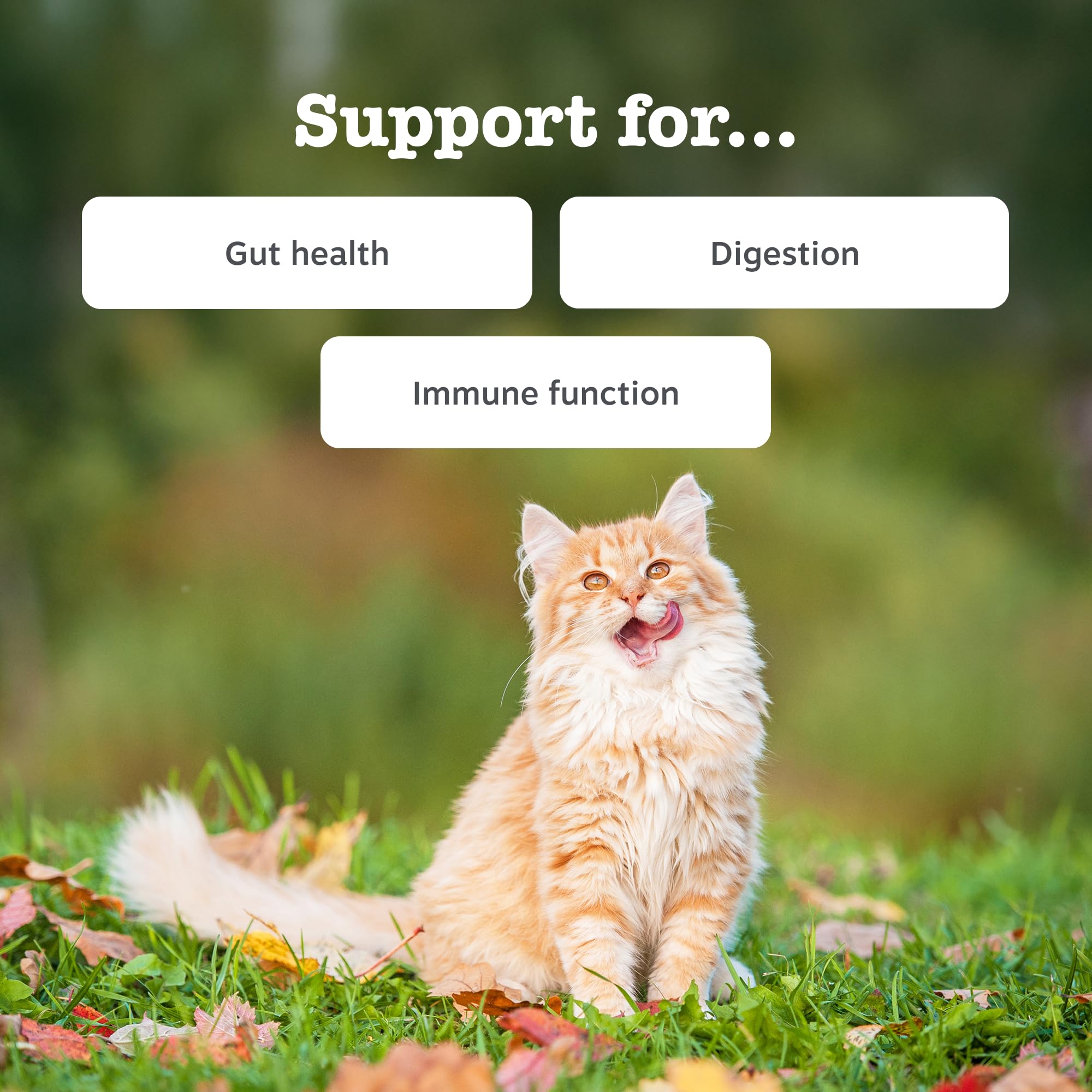 Zesty Paws Digestion & Prebiotics Paste for Cats, 75ml - Image 2