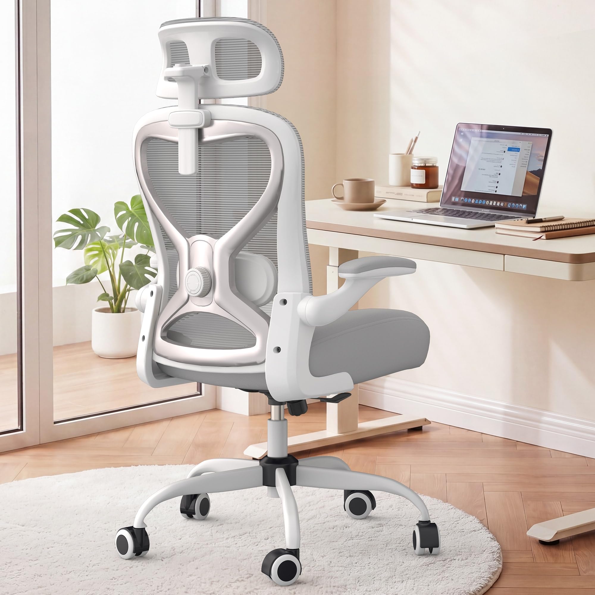 CASASIO Ergonomic Chair