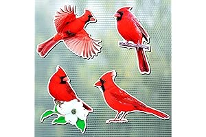 Cardinal Bird Screen Door Magnets Double Sided - 4 Styles