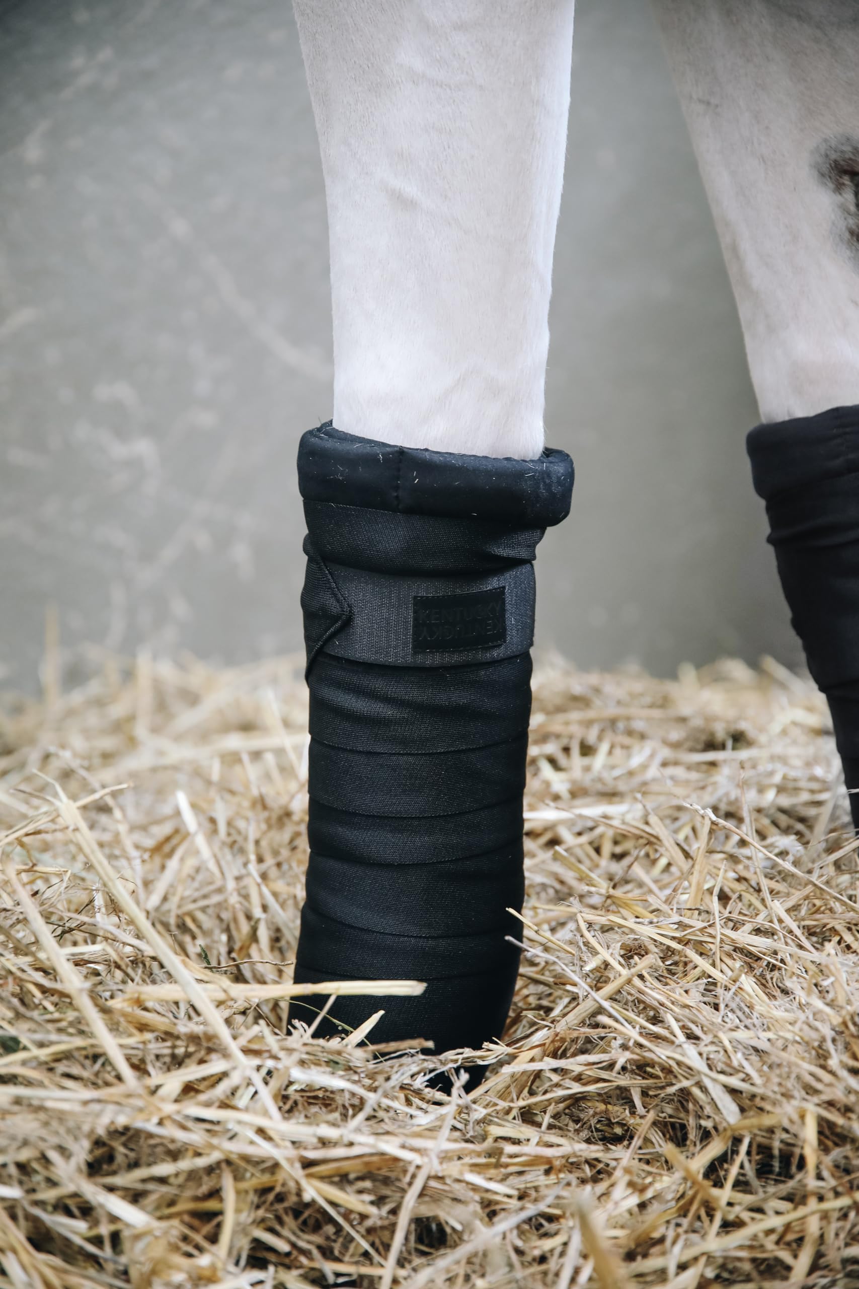 Kentucky Bandes de Repos Repellent Noir