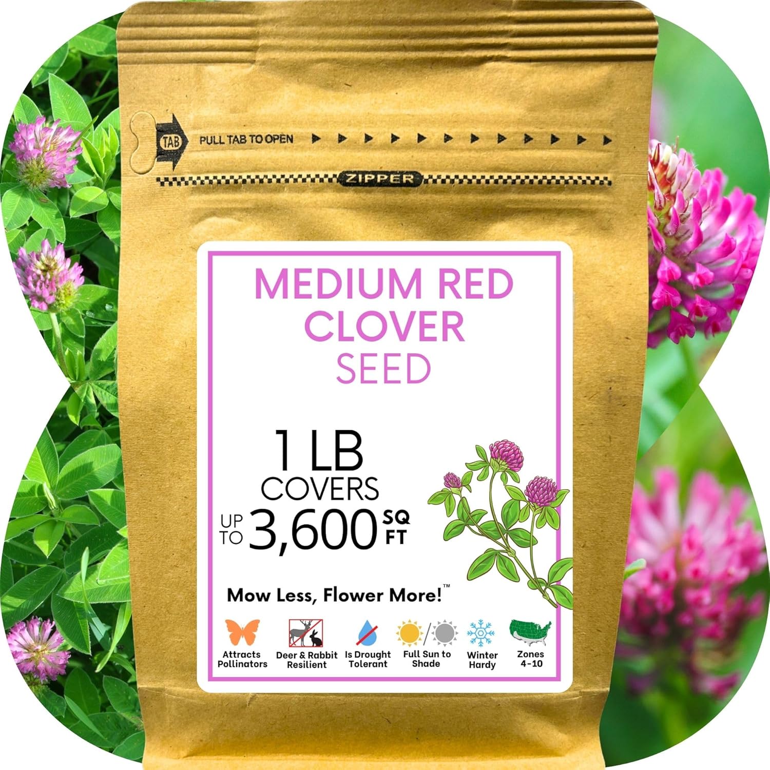 Flawn Seed Kits Medium Red Clover Seed, 1 Lb, Drought Tolerant, Flower Meadow, Attracts Pollinators, Kraft Zipper Pouch, Covers Up to 3,600 Sqft