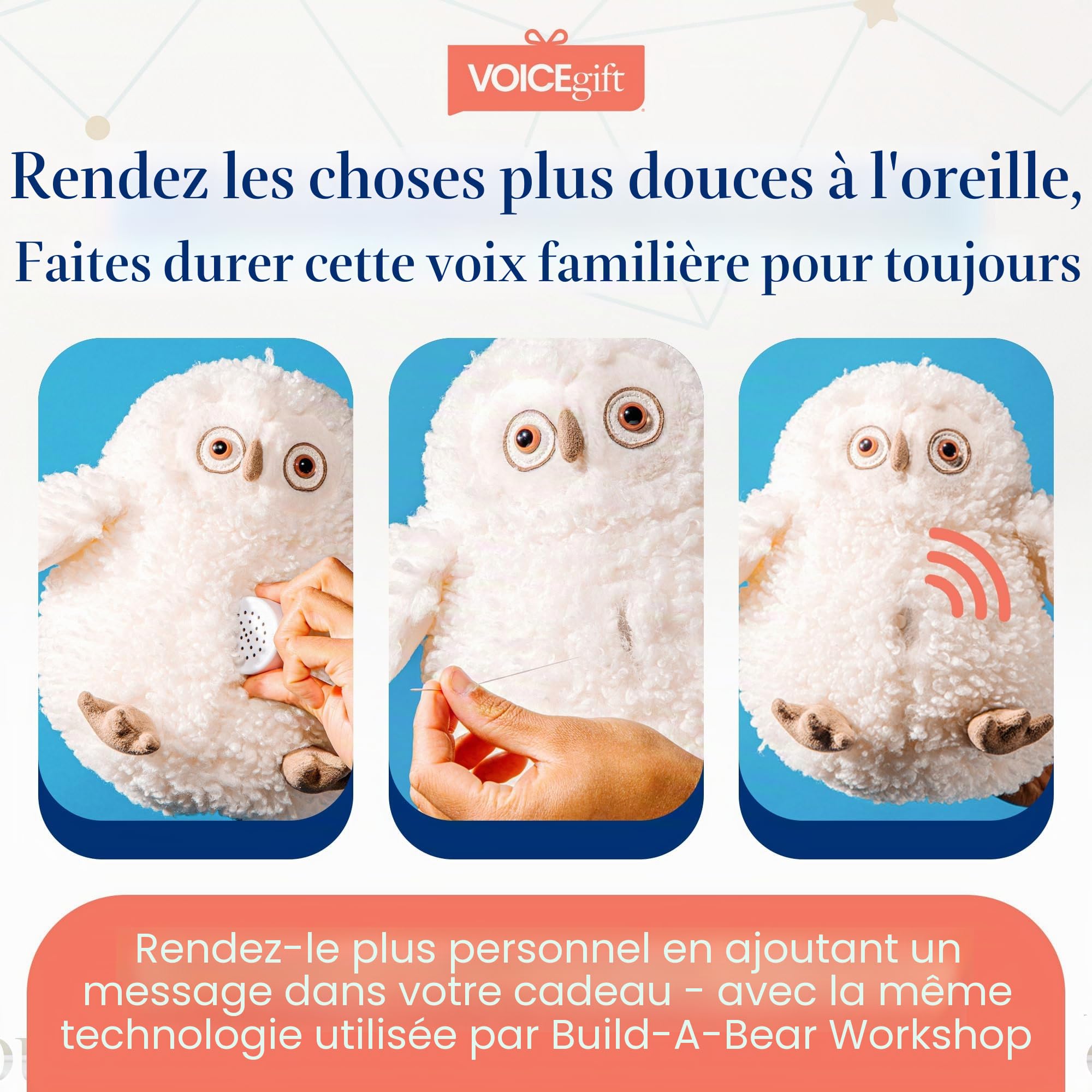 VoiceGift Enregistreur Vocal Multi-Messages 60 Secondes (Blanc | 2 Paquet)