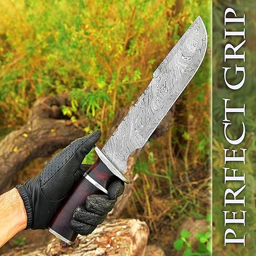 Miniatura 4 de Cuchillo de Damasco personalizado de 15 pulgadas mango de madera Pakka wmarrón funda de cuero TJ117