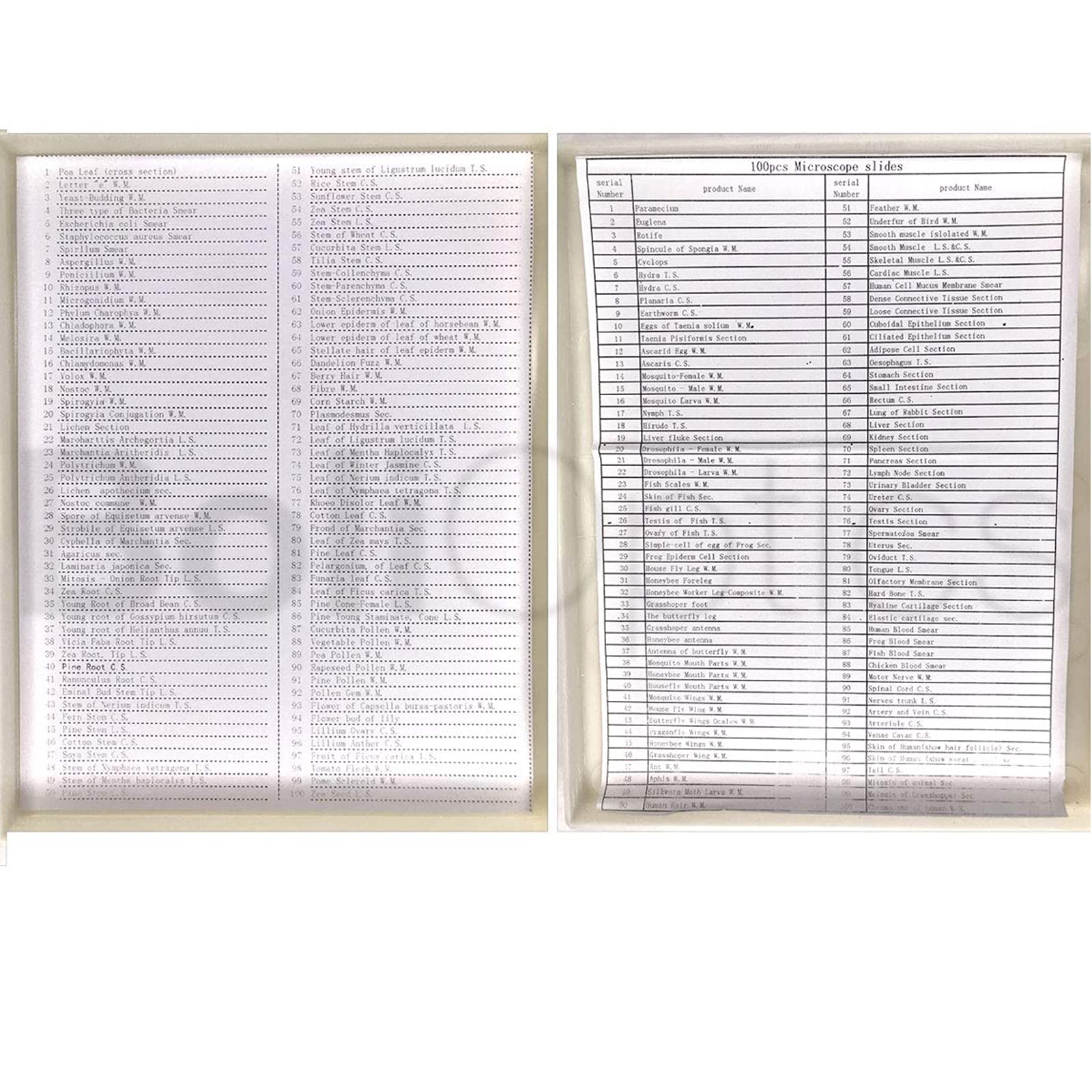 Zestaw szkiełek mikroskopowych – 200 szt. próbek biologii ogólnej dla studentów, hobbystów i początkujących – roślin, zwierząt, komórek anatomii człowieka, do nauki domowej, dla dzieci