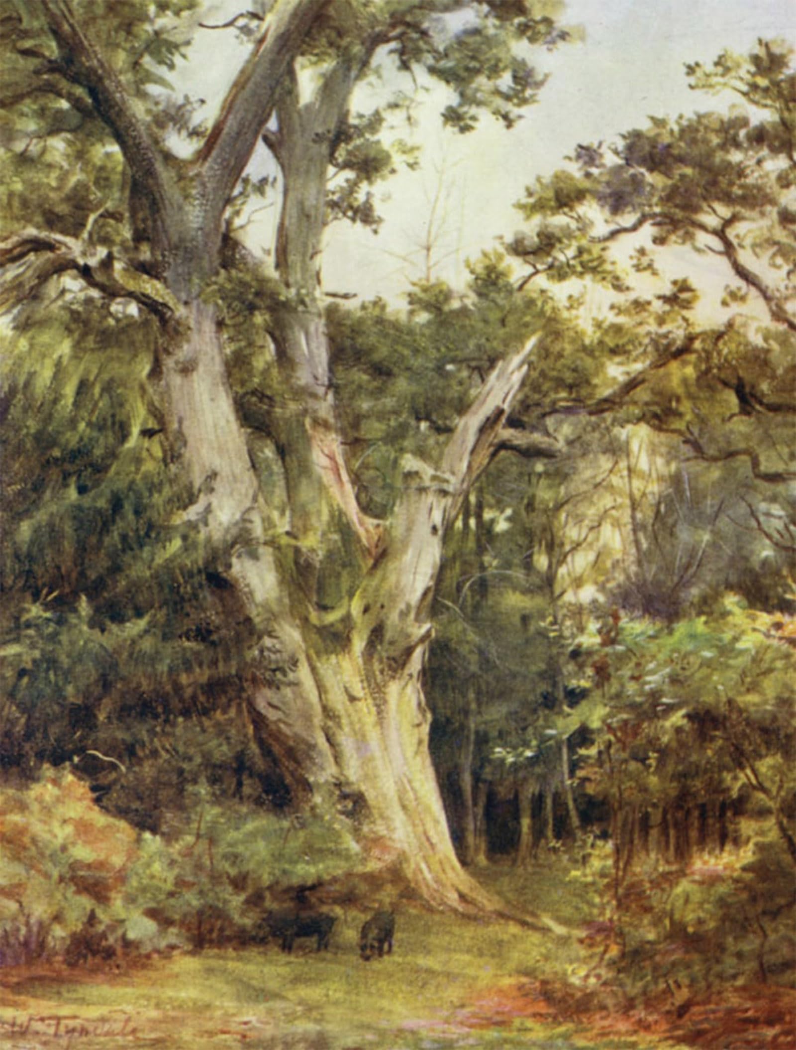 SERENDIPITP Aesthetic Poster Photo Wall Print Retro Picture the New Forest the King At Boldrewood by Walter Frederick Roofe Tyndale Modern Wall Artwork for Home Decor 60x90cm