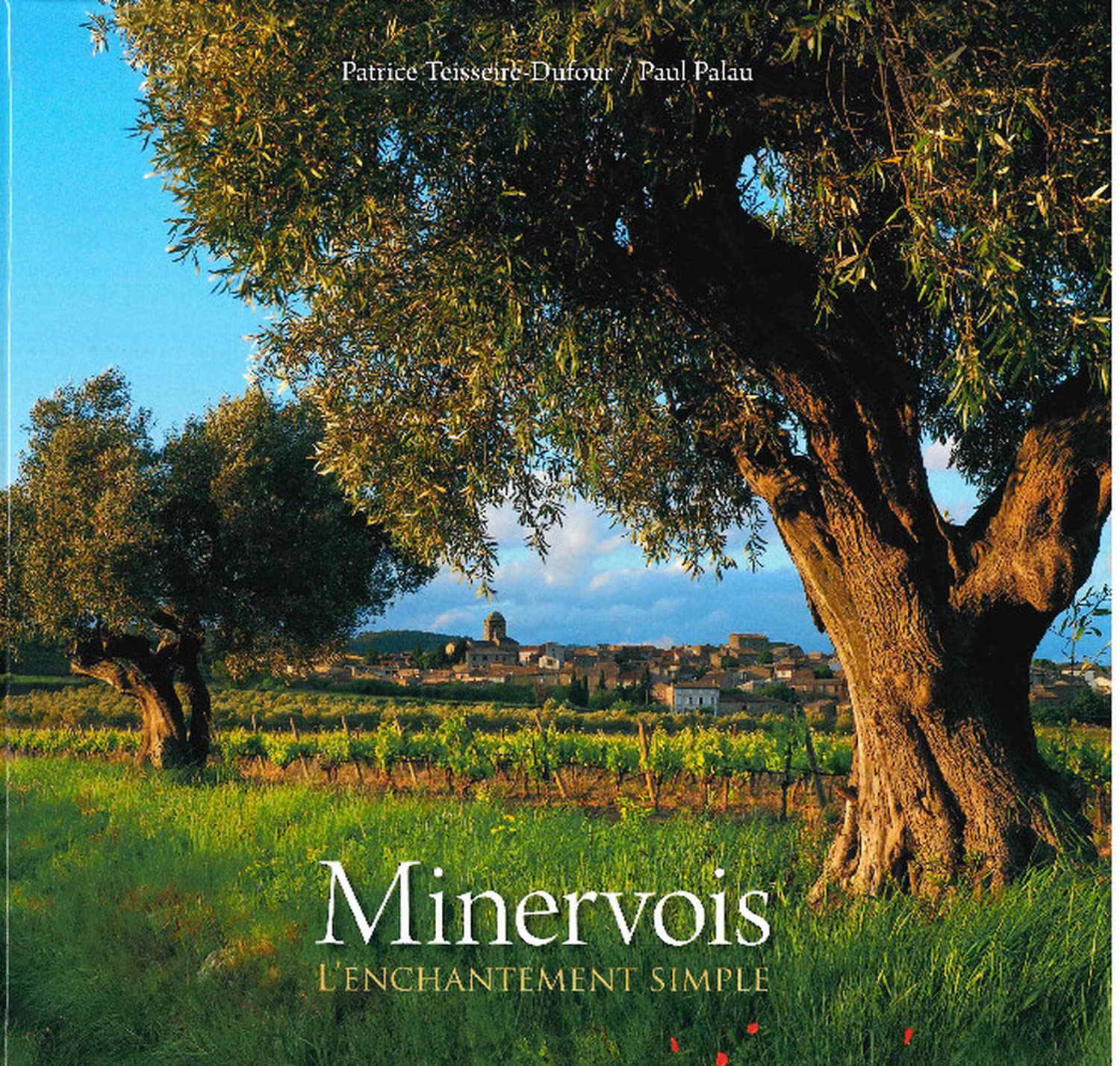 Minervois L'enchantement simple le vin rouge idéal pour vos barbecues