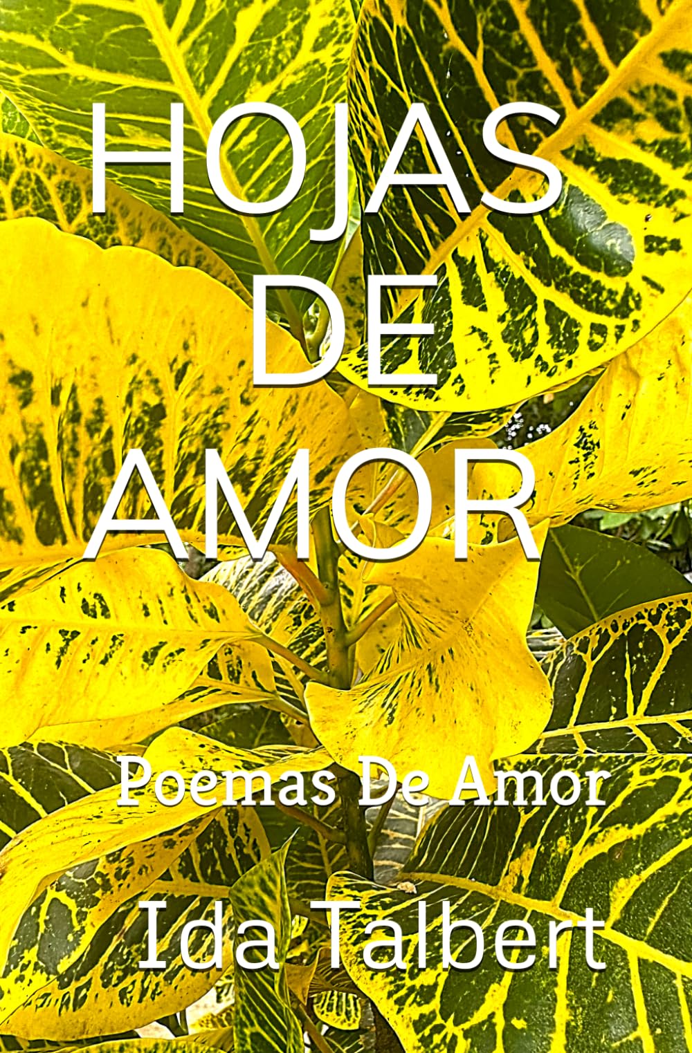 Hojas De Amor: Poemas De Amor