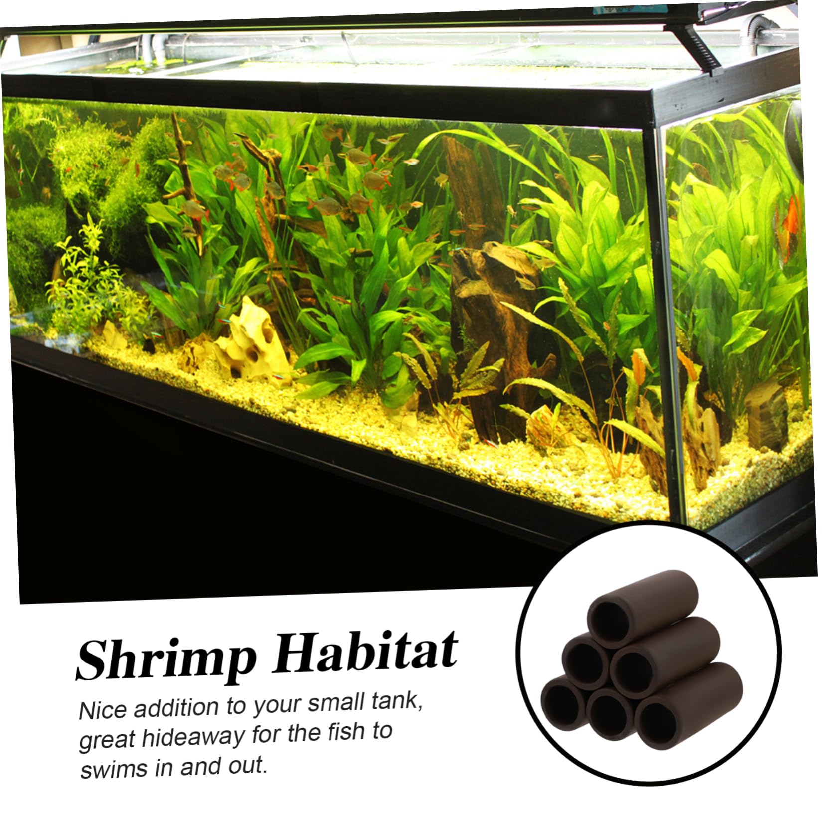 自作 魚 飼育 設備