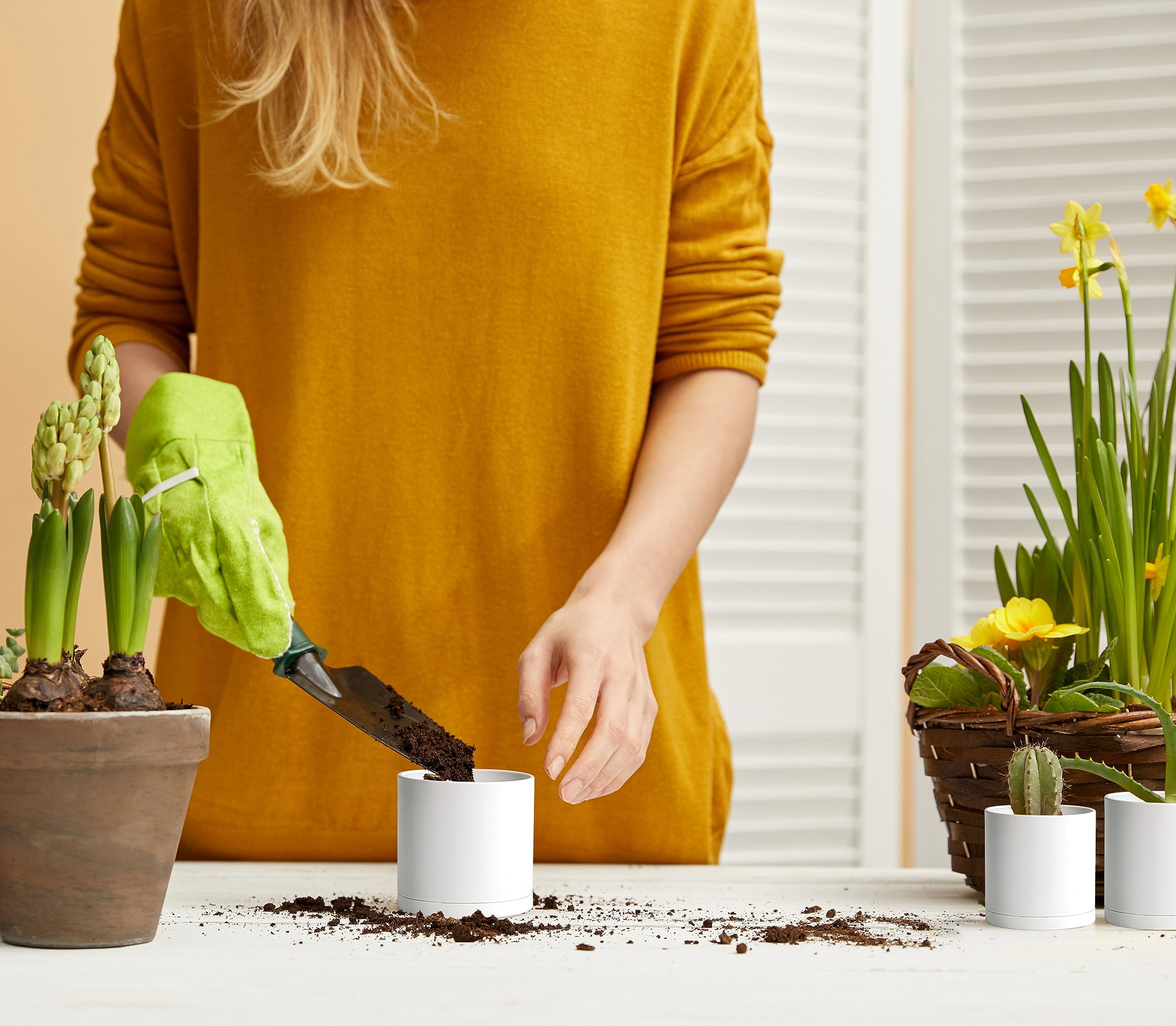 Amazon.com : D'vine Dev 12-Pack Mini White Plastic Planters with