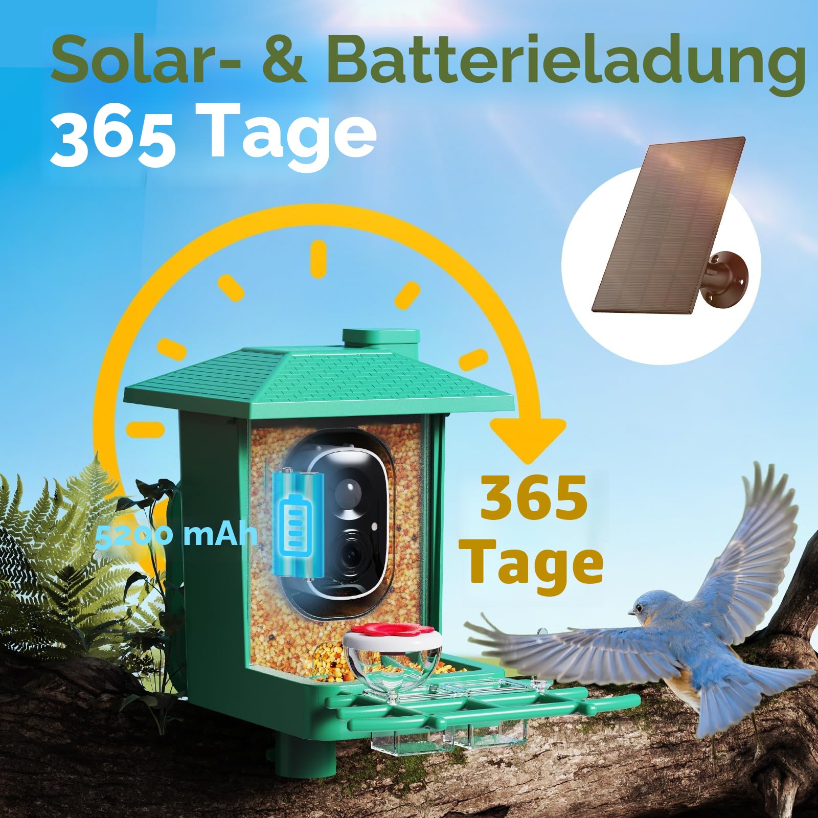 Vogelhaus mit Kamera Outdoor Solar Vogelfutterspender: 2K WLAN Vogelfutterhaus Wetterfest IP66 - Geschenke FüR Vogelliebhaber Ai Verfolgung EichhöRnchensicher - Bird Feeder Camera