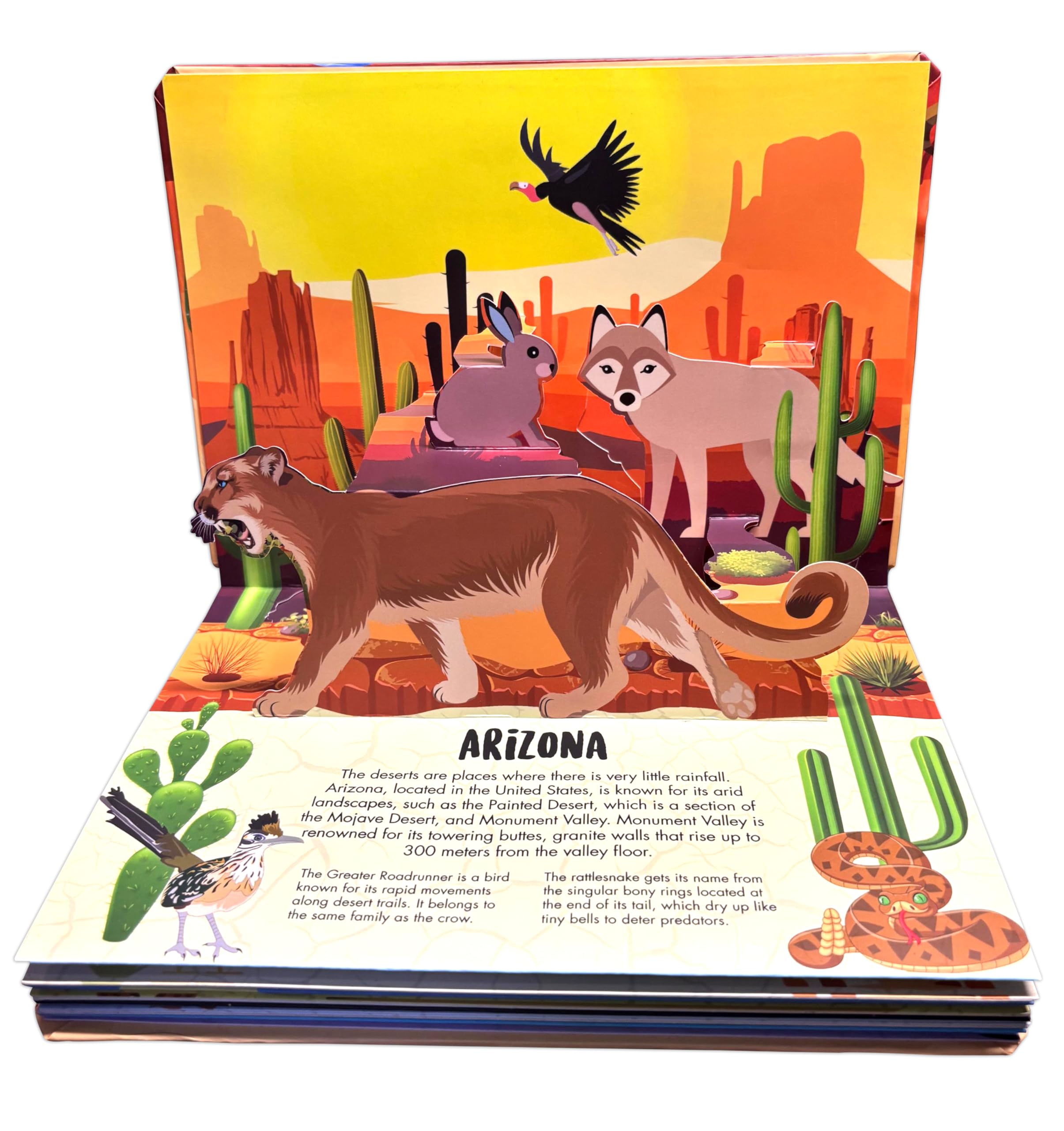 Pop Up Deserts Book for Kids: Interactive Learning with Adventure Pop-Up Scenes | Fun Facts & Surprises Inside | Amazing Animal Life, Habitat & ... | Children’s Nature & Geography Pop-Up Book 2