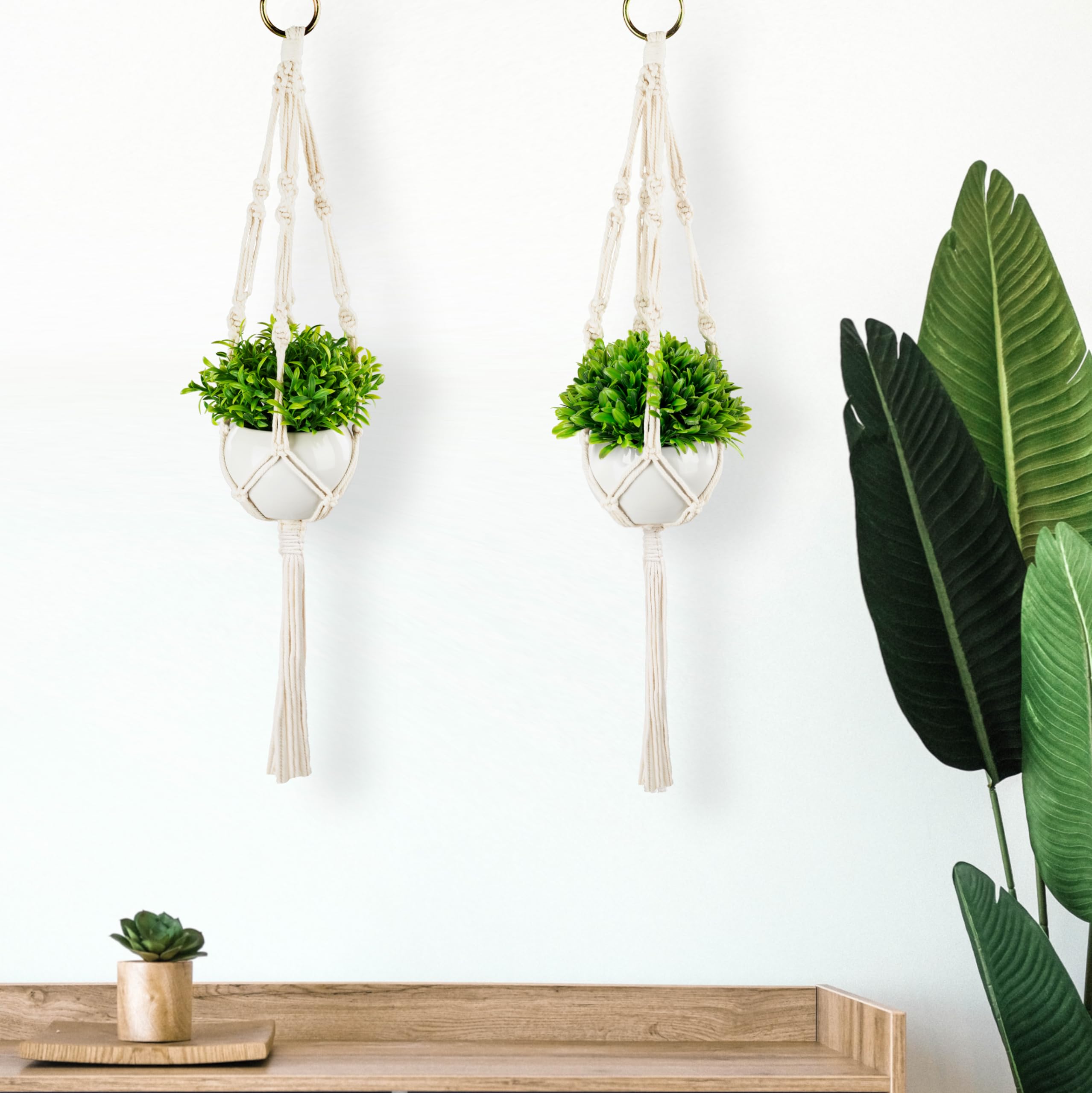 PASCH Lot de 2 plantes artificielles avec macramé suspendu et pots en céramique blanche - Plantes artificielles (14 cm) + suspension en macramé (60 cm) - Plantes suspendues artificielles