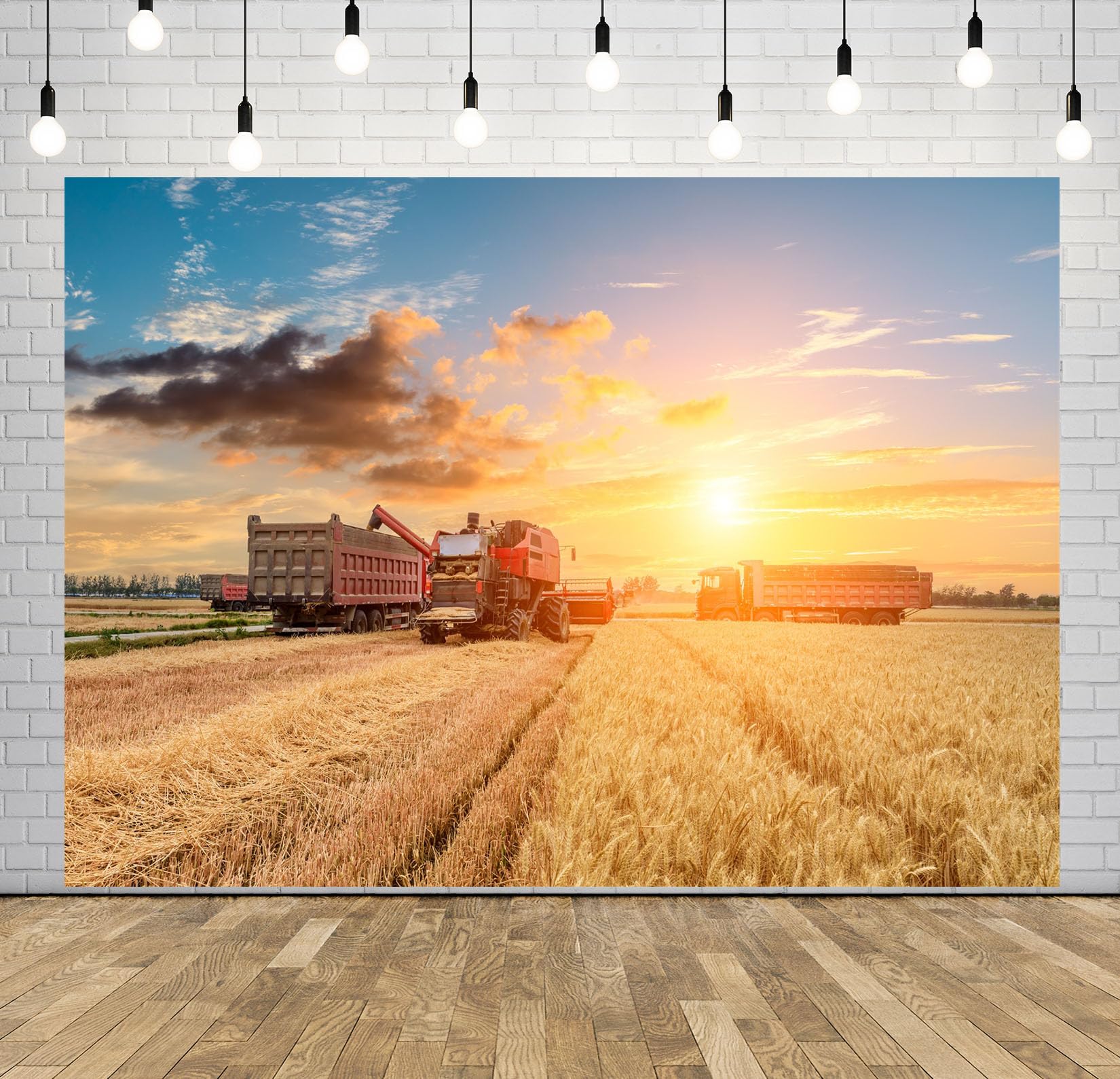 8x8FT Campo Raccolta Grano Dorato Sfondo Fotografico