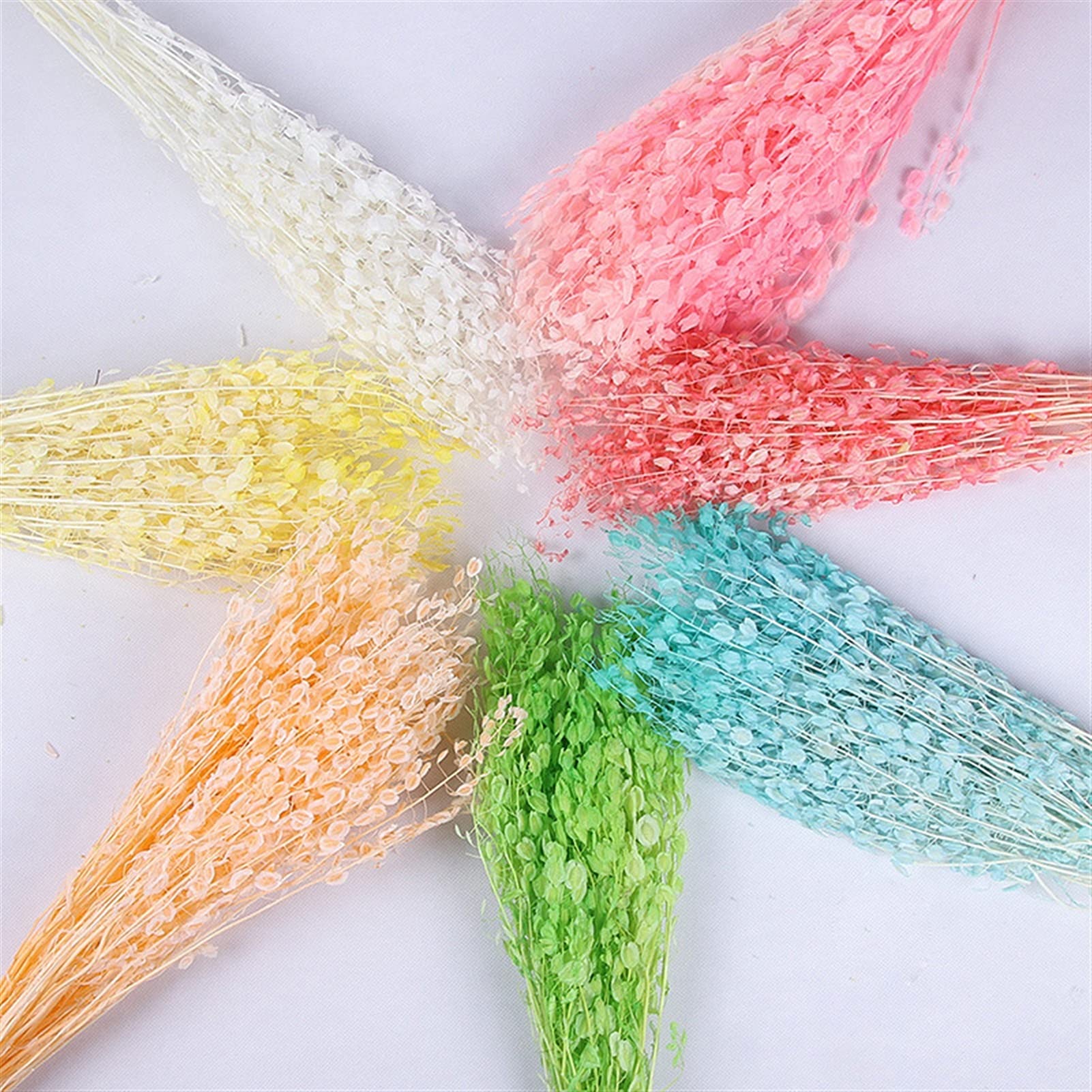 Fleurs séchées naturelles 60-80g, bouquet de fleurs de ventilateur vert séché naturel, plante réelle éternelle arrange fleurs sèches pour la décoration de la table de mariage Décoration de fête de mar