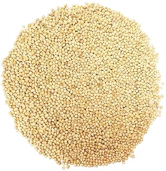 ☆millet☆ Millet (select type) - Stratton Seed Company