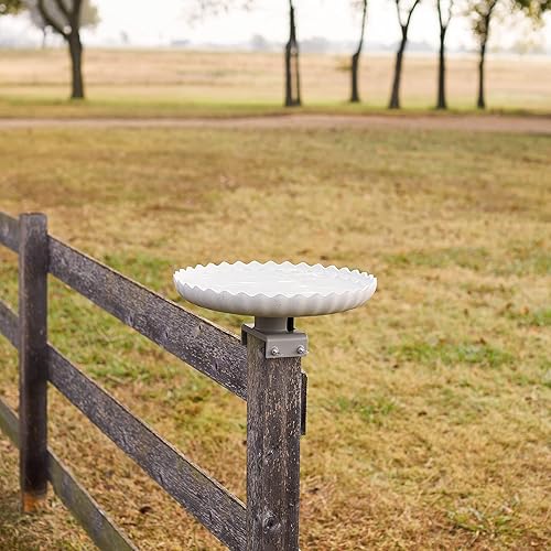 Miniatura 9 de Farm Innovators - Bañera para pájaros con calefacción para exteriores, 120 W, piedra moldeada con montaje en cubierta giratoria Gris