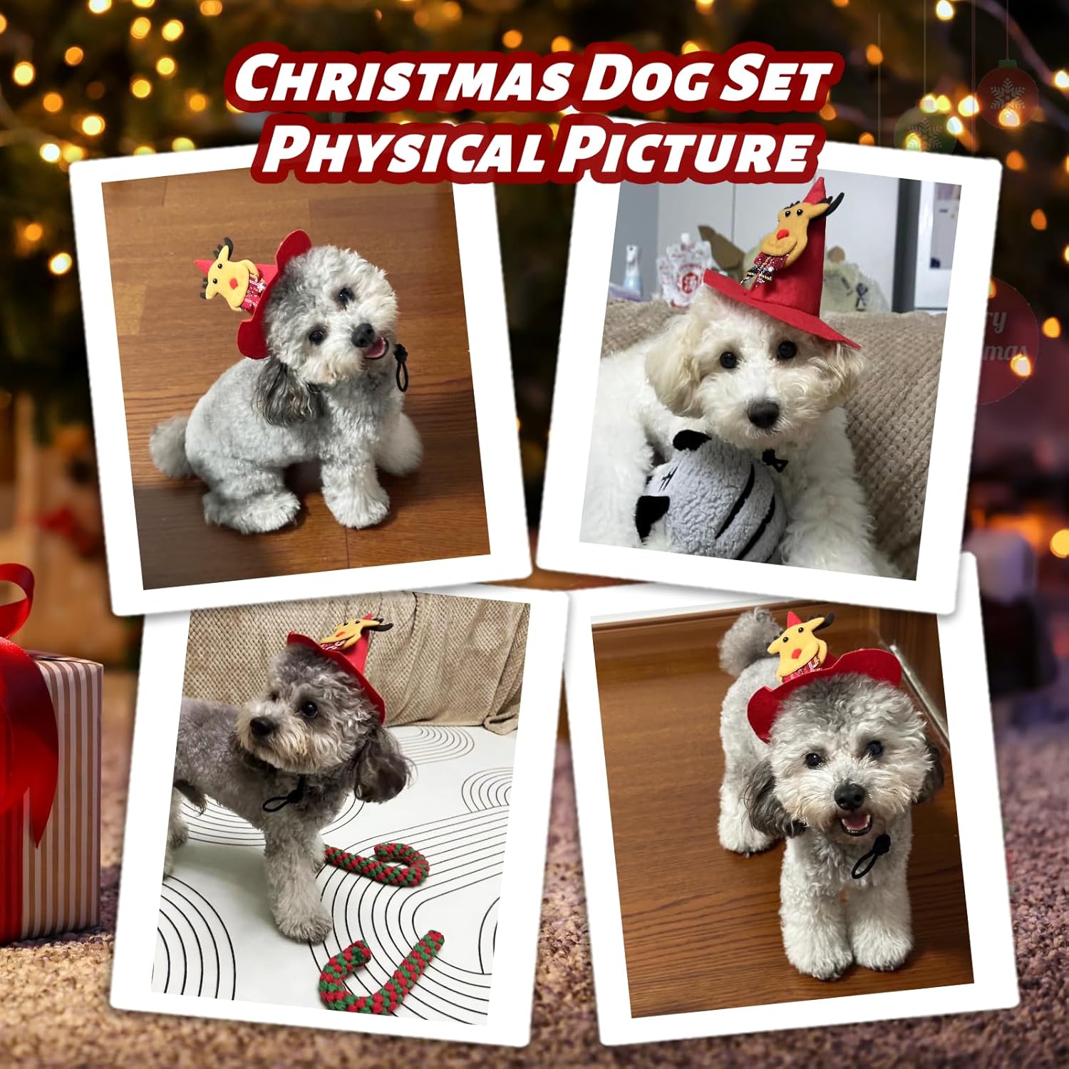 Christmas Dog Toys for Small and Medium Dogs with Hat and Bandana Dog Christmas Stocking with Rope Toys and Squeaker Toys Christmas Puppy Chew Toys for Teething Bulk, 8 Pack