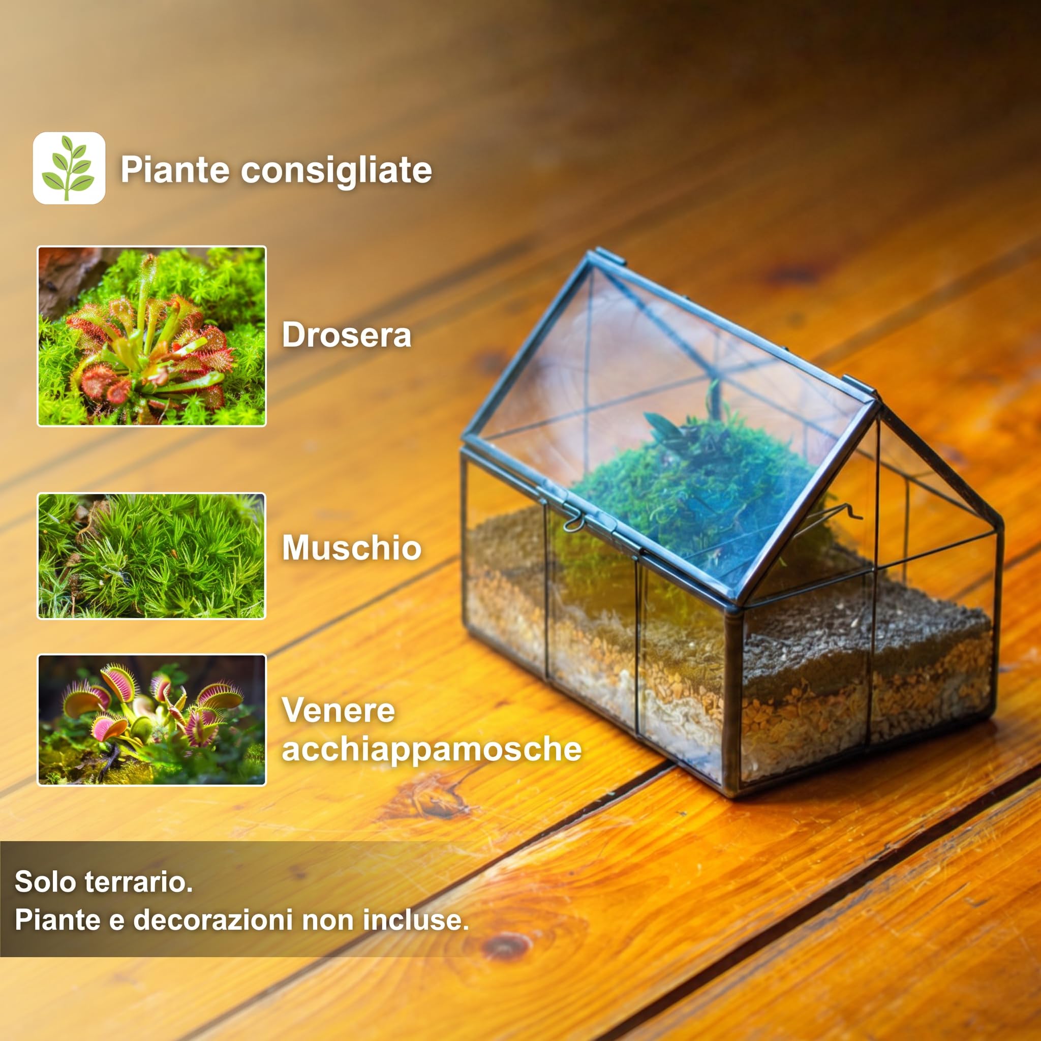NCYP Mini terrario in vetro con coperchio, 15,5 x 10,8 x 12,5 cm, vaso chiuso a forma di casa, per felci, muschio, decorazione geometrica per casa, giardino, ufficio, tavolo, nero (solo terrario)