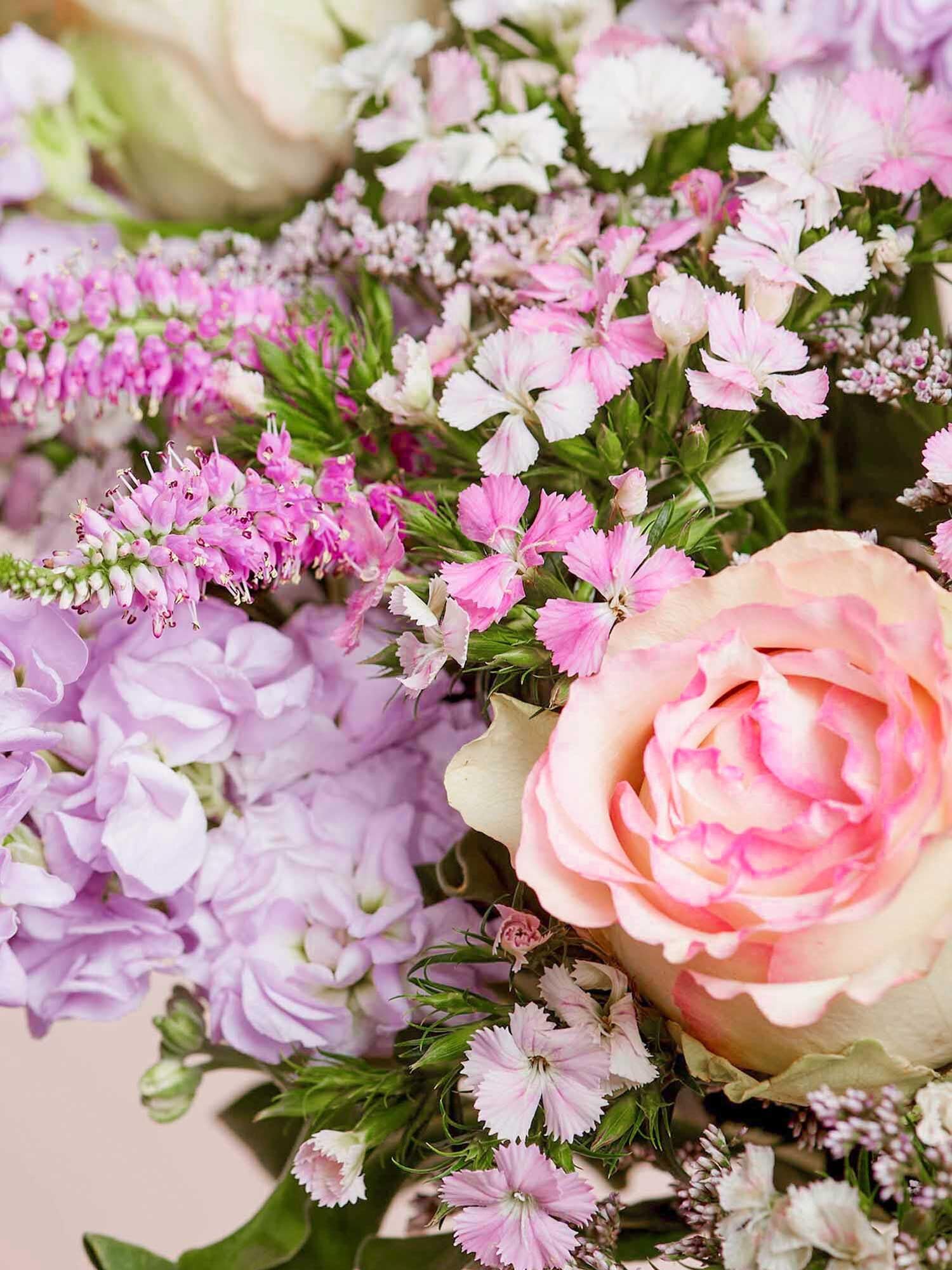 BLOOMY DAYS Blumenstrauß "Wolkenpoesie" in RosaViolett, mit Nelken, Rosen und Schleierkraut, 7-Tage-Frischegarantie, Floristen-Qualität, das perfekte Geschenk bestellen