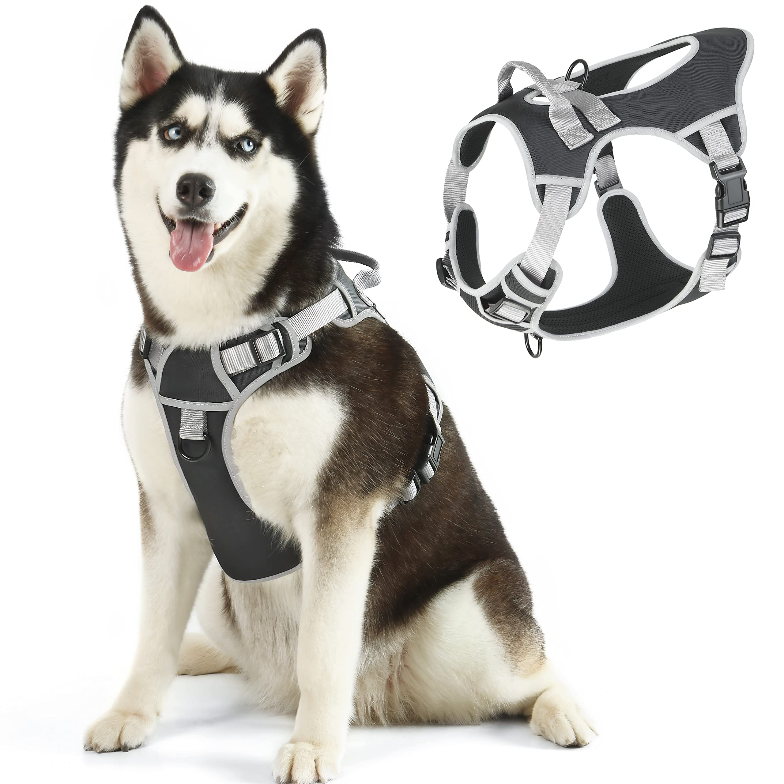 What Are The Different Types Of Dog Harnesses