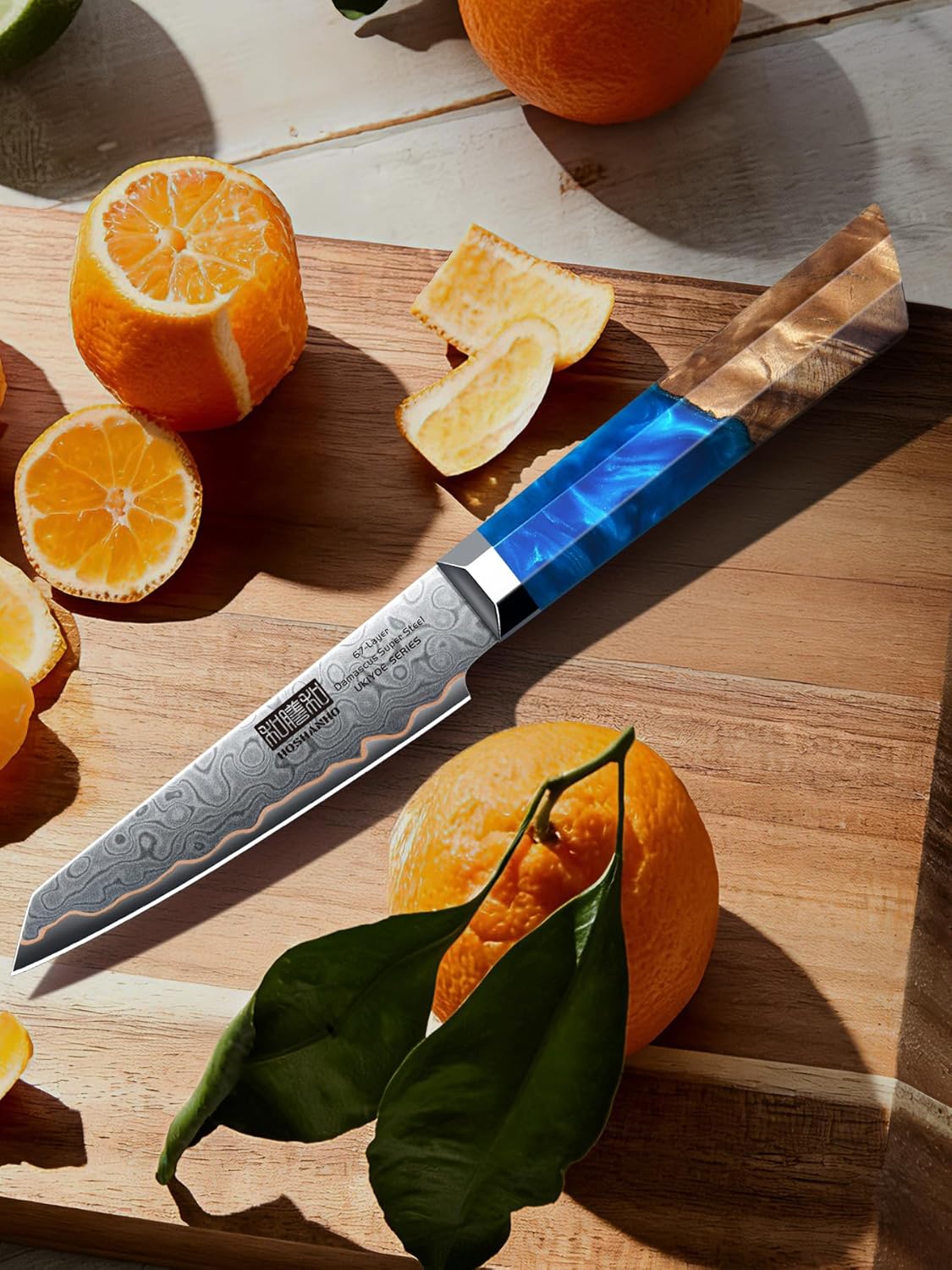 HOSHANHO Damascus Paring Knife 4 Inch, 67-Layer Damascus Steel Professional Small Kitchen Knives, Ultra Sharp Fruit Knife with Ergonomic Blue Resin Stabilized Wood Handle and Wood Gift Box