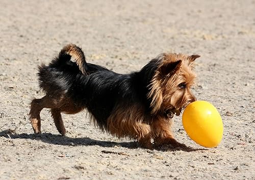 Miniatura 9 de Juguete para perro de Jolly Pets Jolly Egg, M, Amarillo