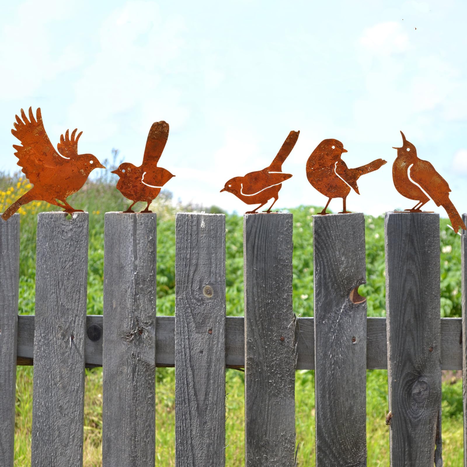 Ornement D'oiseau En Métal Pour Décoration Extérieure - 40 X 13 Cm, Résistant à La Rouille, Pour Jardin Ou Terrasse - 9
