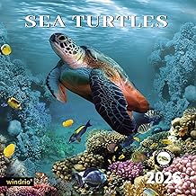 2026 Wall Calendar,Calendar 2026, November 2025 - December 2026, Wall Calendar Sea Turtles, 12" x 24" Opened,Full Page Months Thick & Sturdy Paper for Gift Perfect Calendar Organizing & Planning