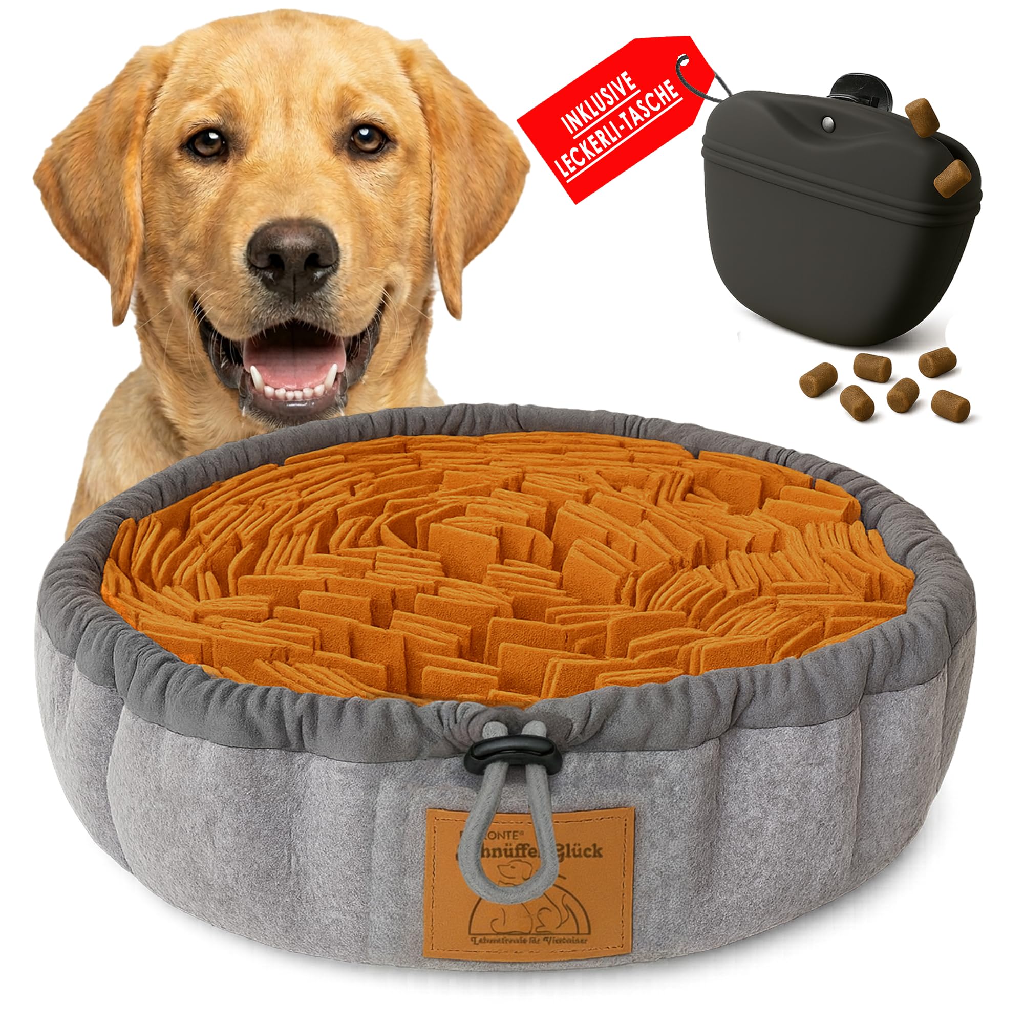 Schnüffelteppich Hund – Hundespielzeug 2-in-1 Set mit Leckerli-Beutel – Schnüffelmatte Beschäftigung für kleine & große Hunde & Welpen – Intelligenzspielzeug Nasenarbeit, rutschfest & waschbar