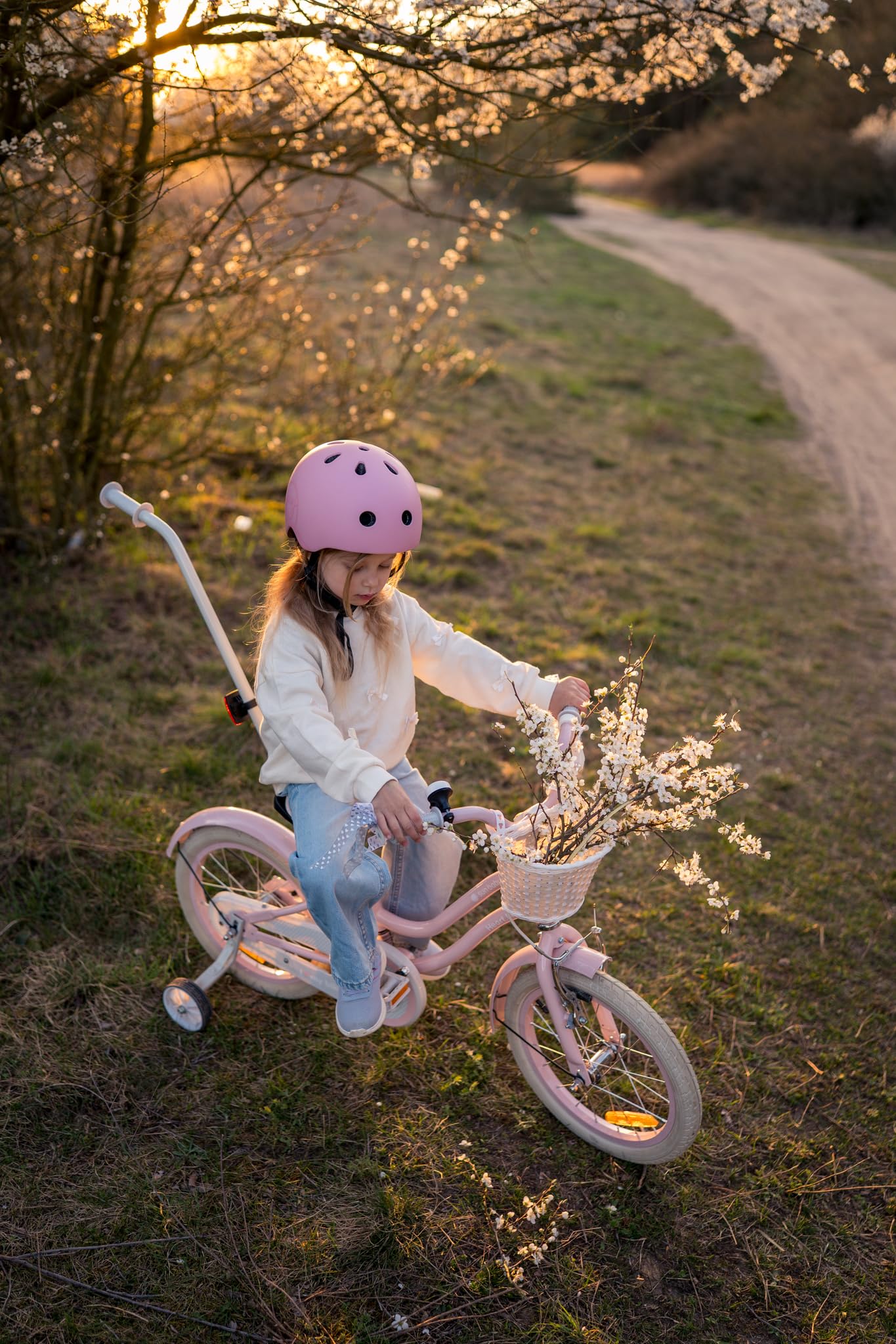sun baby Heart Bike Bicicleta Infantil para niña 12/14/16 Pulgadas, con ruedines, Barra de Empuje, Cesta, Timbre, Freno contrapedal y V-Brake