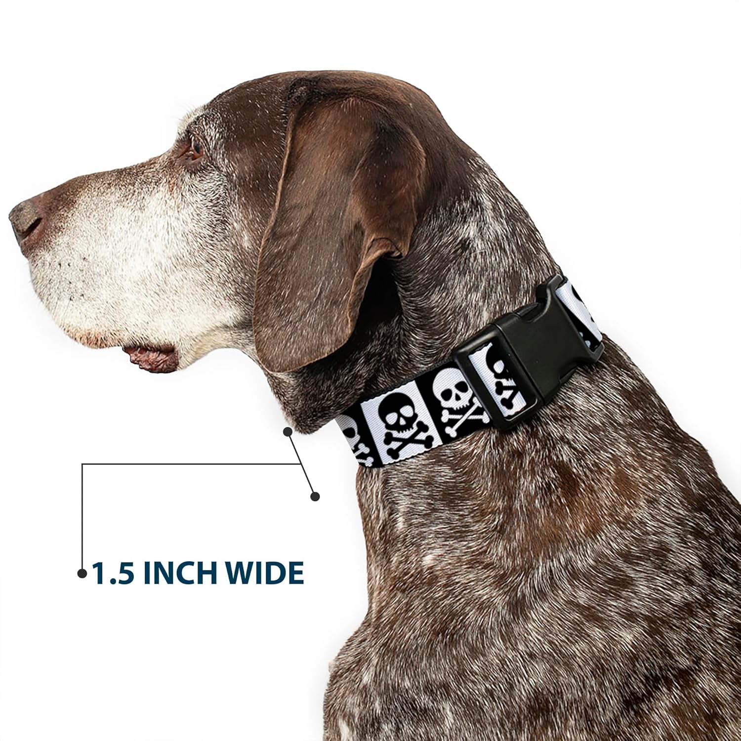 Buckle-Down 13-18" Skull & Cross Bones Blocks Black/White White/Black Plastic Clip Collar, Wide Small