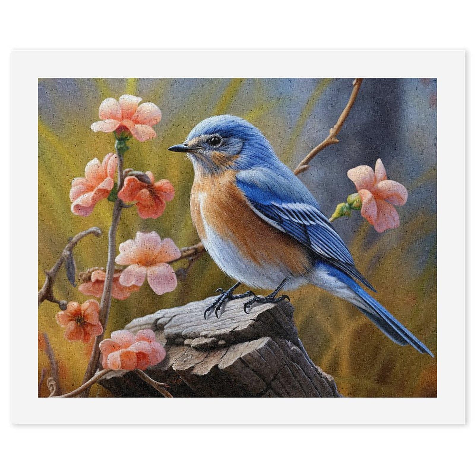 Amazon.com: FZQVSGW Digital Oil Painting for Adults, Beginners