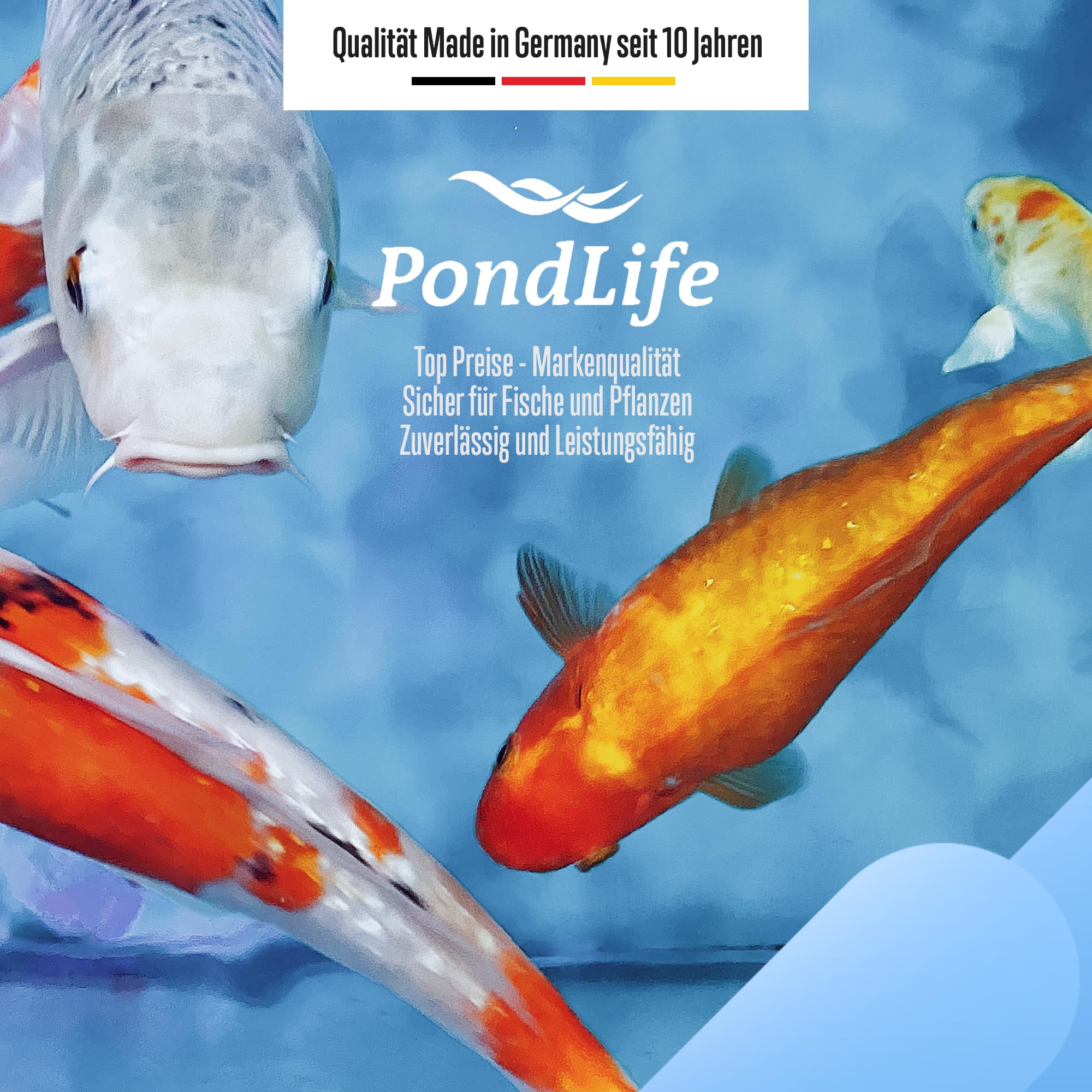 Pondlife Japan Belüfterring für Koi Teich, Ø 50 cm, Teichbelüfter mit Luftschlauch, Sauerstoffzufuhr und Belüftung, Teich Zubehör