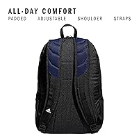 Amazon.com: Stadium Team Sports Backpack for men and women (36L