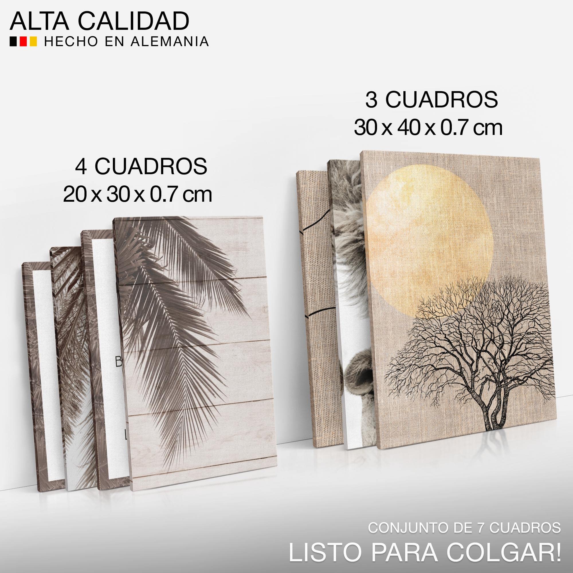 Novart Set Cuadros Decorativos - COMPLETAMENTE LISTO PARA COLGAR - Imágenes - Löwen Amor - 7 Partes - N018571a