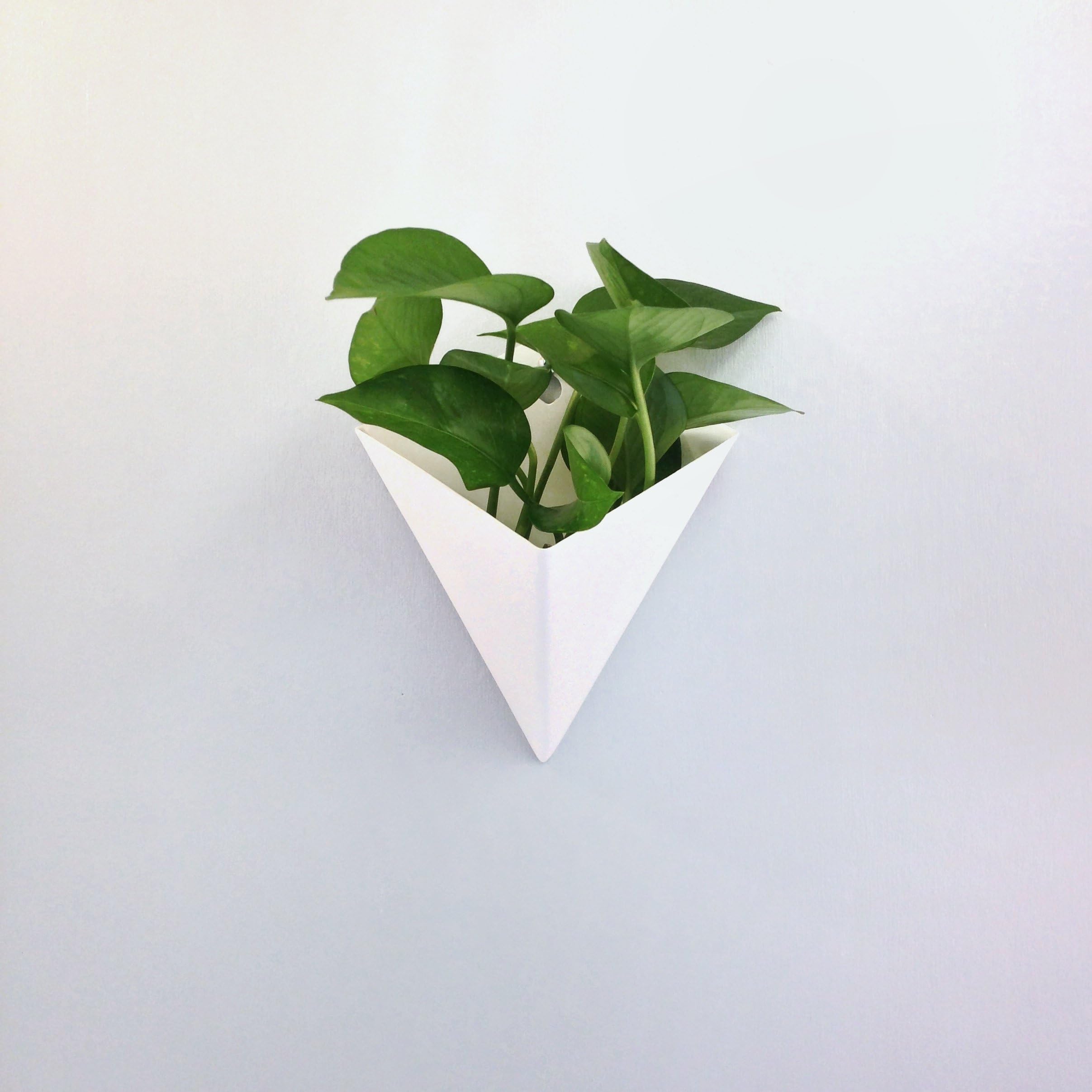 Equilateral Modern Triangular Hanging Wall Planter (Large, White)