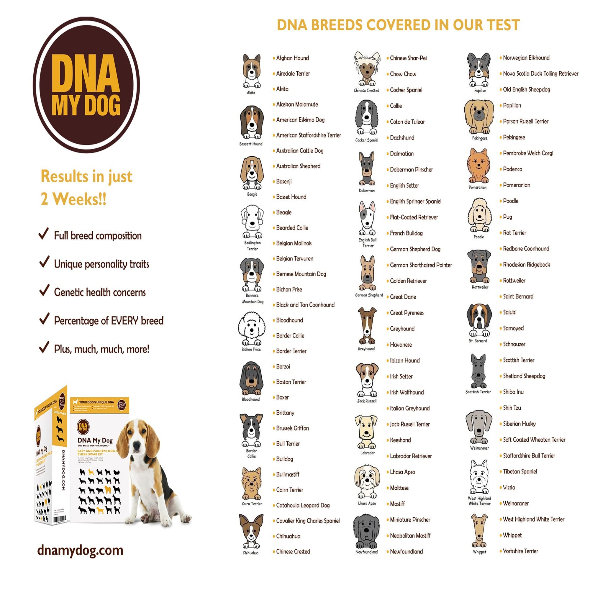 How Much To Dna Test Your Dog