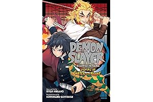 Demon Slayer Manga 24: Stories of Water and Flame