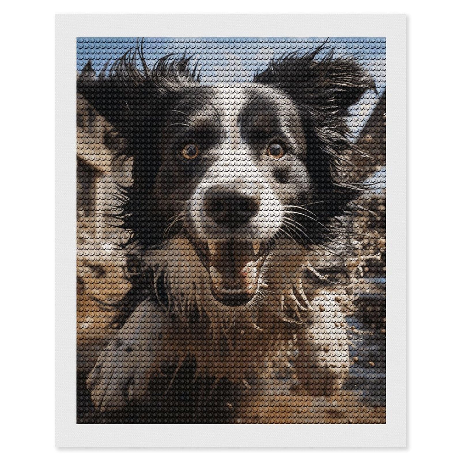 DWVTSLH Pastor Border Collie Diamond Painting Kits for Adults, Personalized Diamond Photo Art Full Drill, DIY 5D Diamond Art Painting Kits for Beginners, Home Wall Decor 16"x20"
