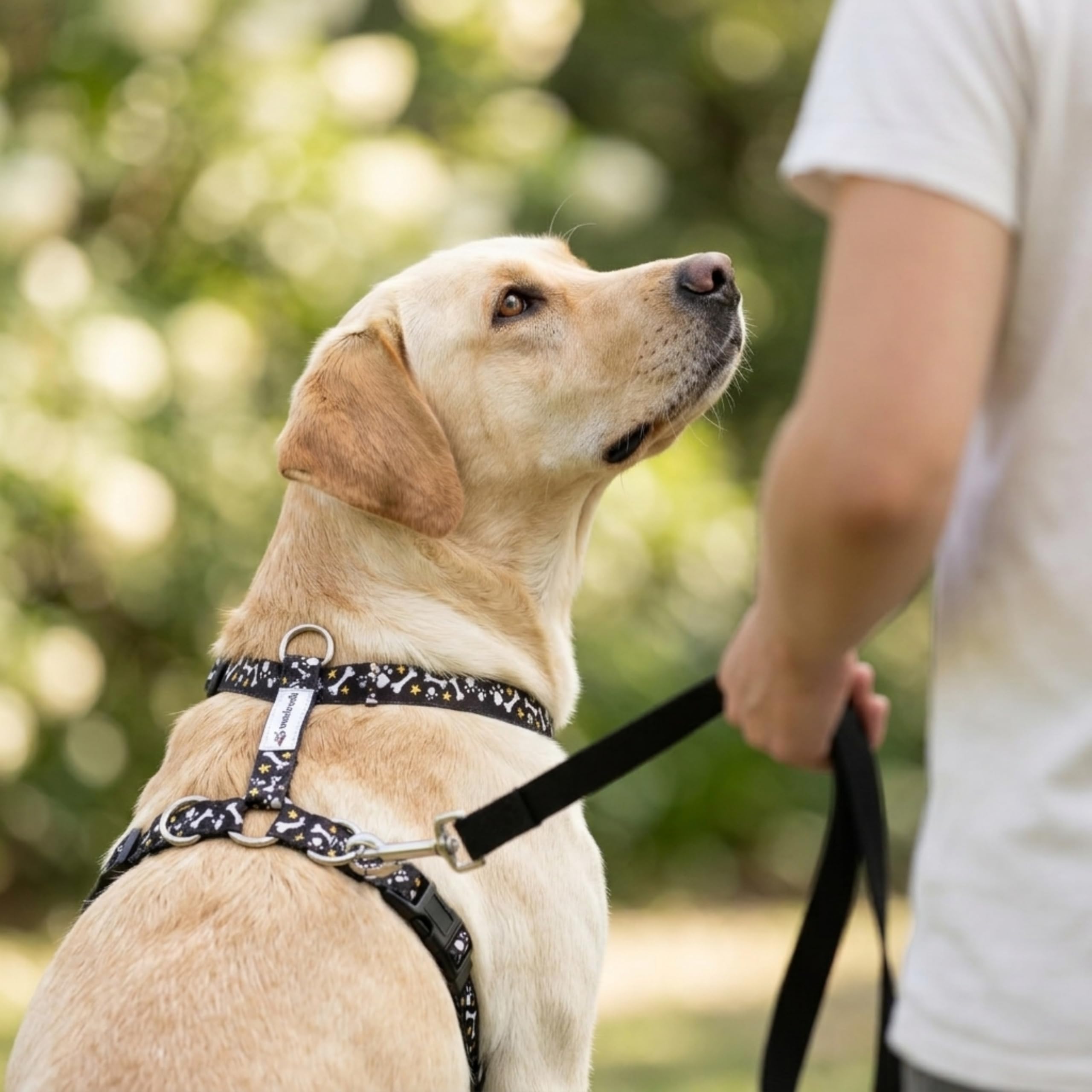 Wonderwalk Anti-Ziehgeschirr für Hunde, verstellbares Hundegeschirr mit seitlichem Ring, einfache Kontrolle, geeignet für kleine mittelgroße und große Hunde (Schwarz, L)
