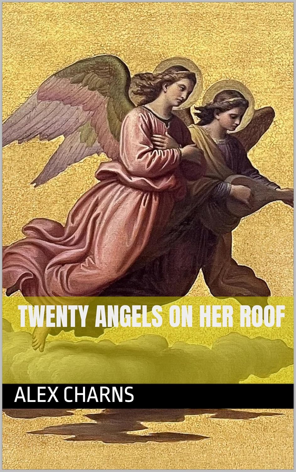Twenty Angels on Her Roof cover