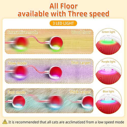 Miniatura 2 de Speedy 2.0 - Juguetes interactivos para gatos de interior, juguete para gatos con cola de malla elástica, juguete automático para gatos adultos