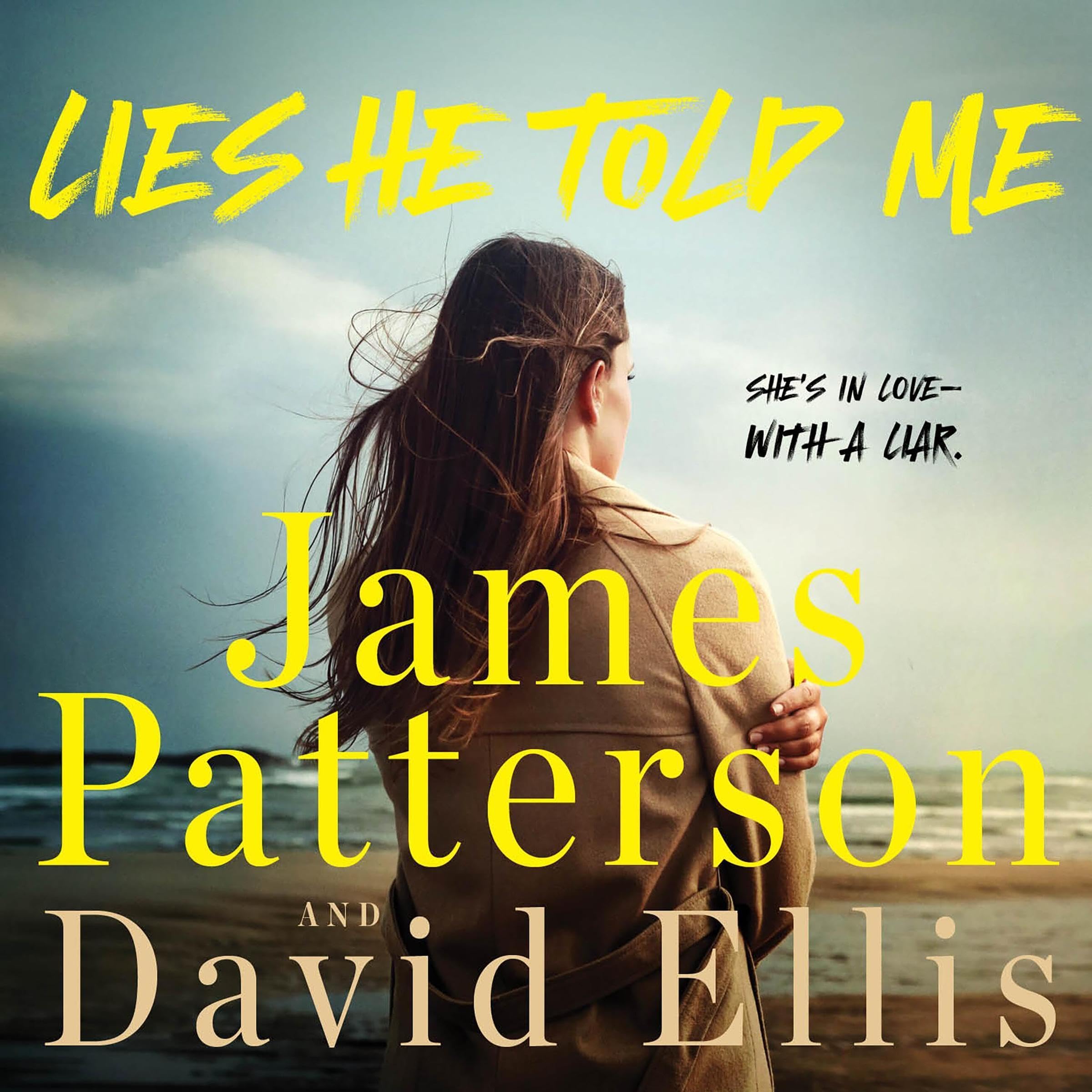 Cover art for Lies He Told Me