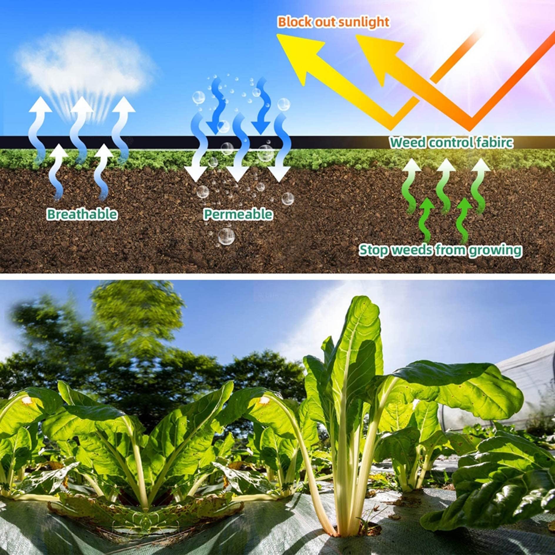 Telo Pacciamatura 70g/m2,Tessuto Anti Erbaccem Membrana del Tessuto,Nero in Polipropilene,Permeabile all'Acqua e Traspirante,per Orto,Giardino,Paesaggio,Vialetto (10 Pioli Giardino,10 Tampone)