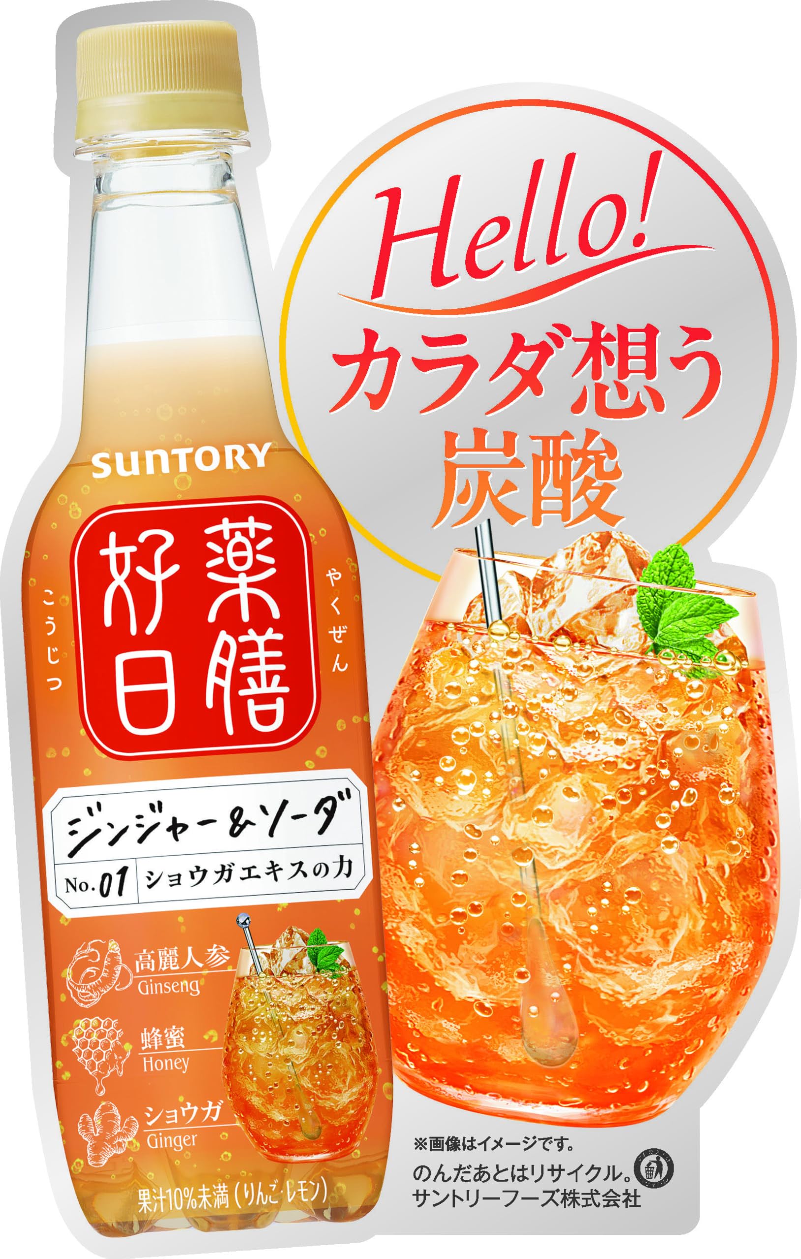 サントリーの薬膳ジンジャーソーダ、390ml24本