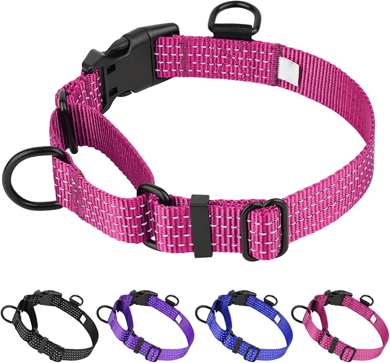 Coleira Martingale para Cães em Nylon Dlitk MD-001, Hot Pink, Tamanho Grande