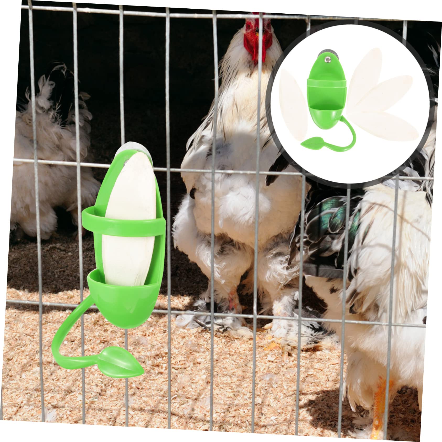 DOITOOL 4sets Supporto Per Uccelli Con Cuttlebone Rack Per Alimentazione Parrot Accessori Per Nutrimento e Gioco Completo Con Cuttlebone Per Pappagalli e Altri Volatili