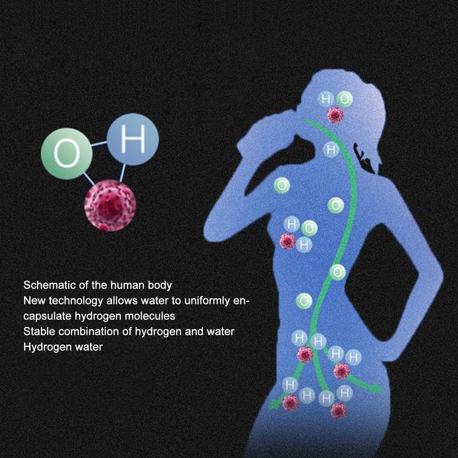 Botella de Agua de Hidrógeno con Tecnología PEM SPE, Generador Portátil de Agua Rica en Hidrógeno, Taza Aislada para Familia, Fitness y Agua Mineral