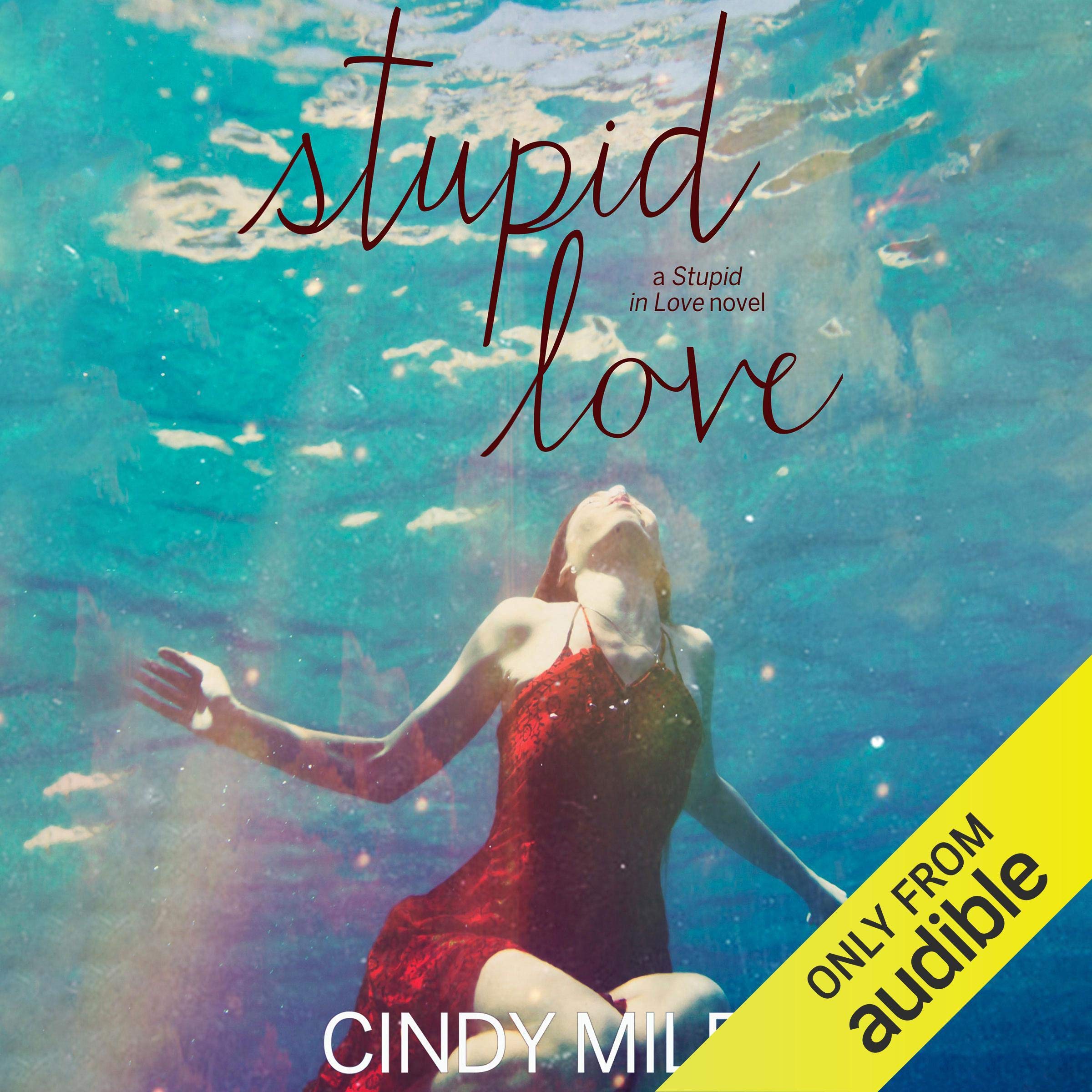 Cover art for Stupid Love